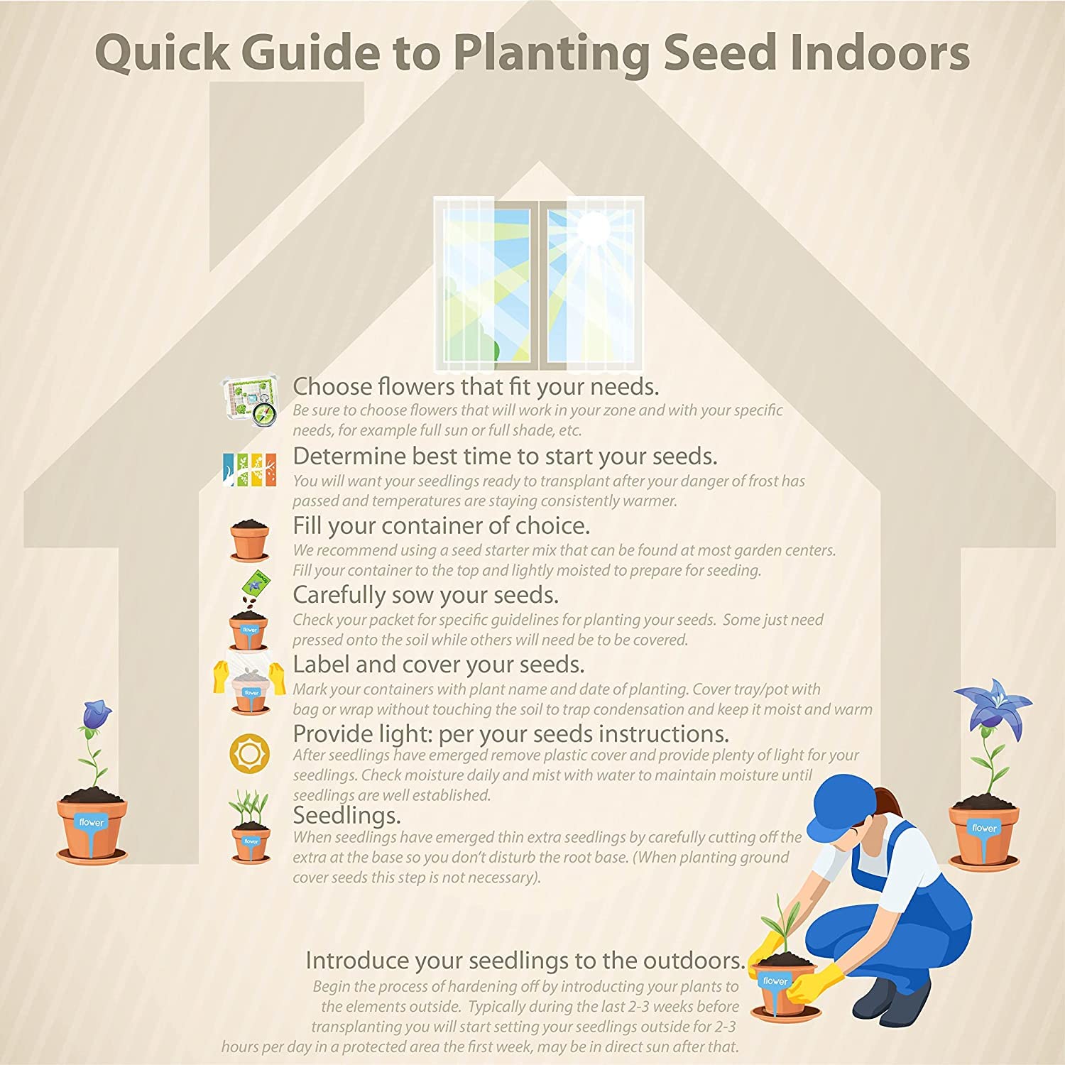 Semillas de Coleus Black Dragon Eleva tu Jardinería con una Belleza Impactante de Tonos Oscuros