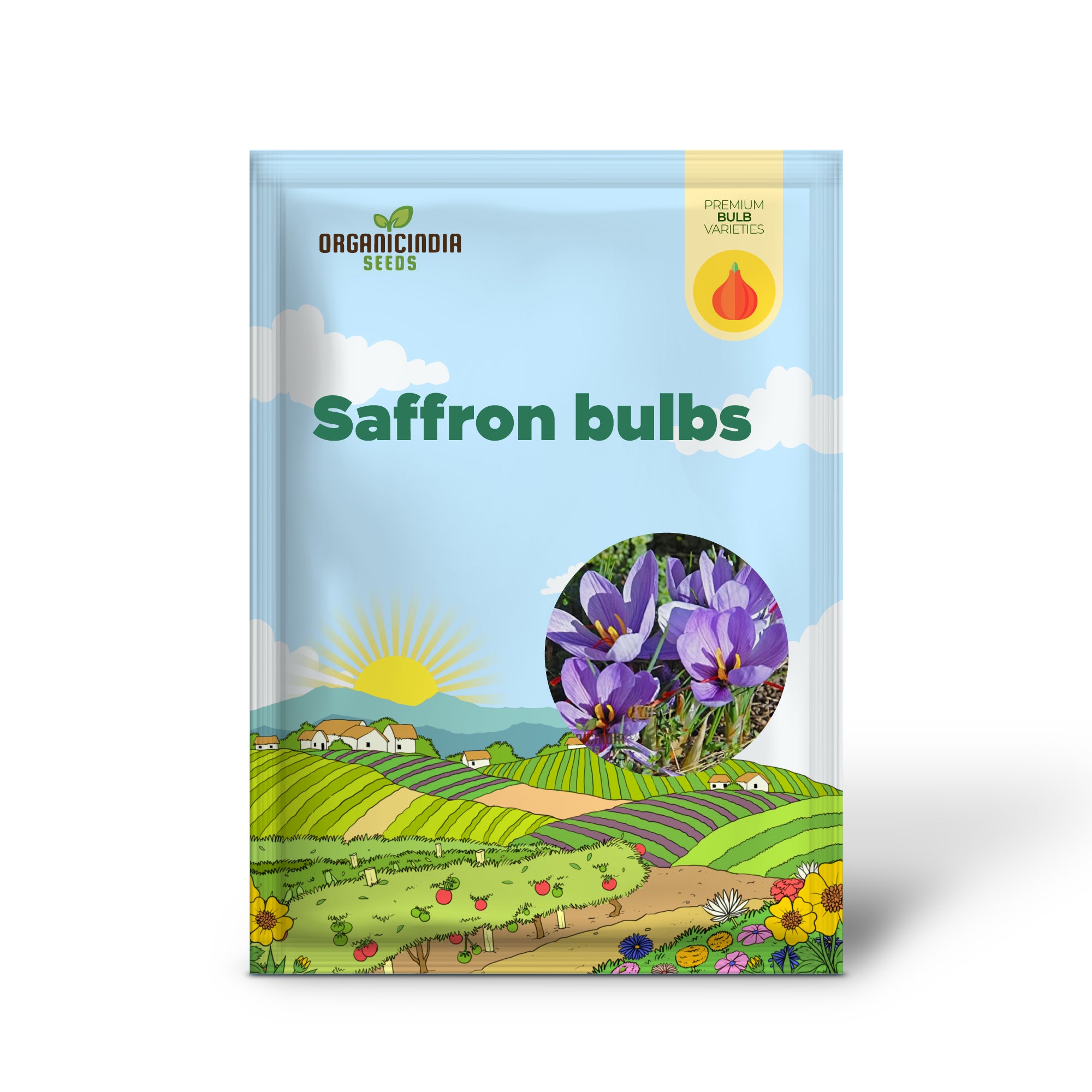 Saffron Flower bulbs, Crocus Sativus Corms (3 Bulbs for Planting)
