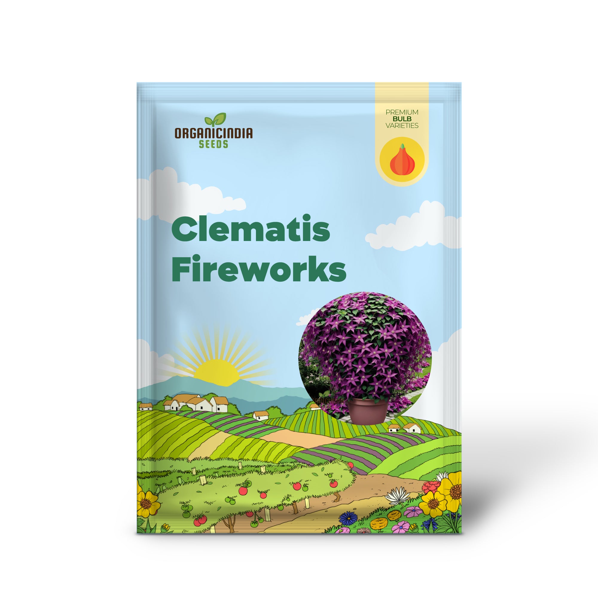 Clematis Feuerwerk, Starterpflanzen bereit für den Garten, schöne tiefrosa und violette blühende Kletterpflanze (3 Zwiebeln zum Pflanzen)