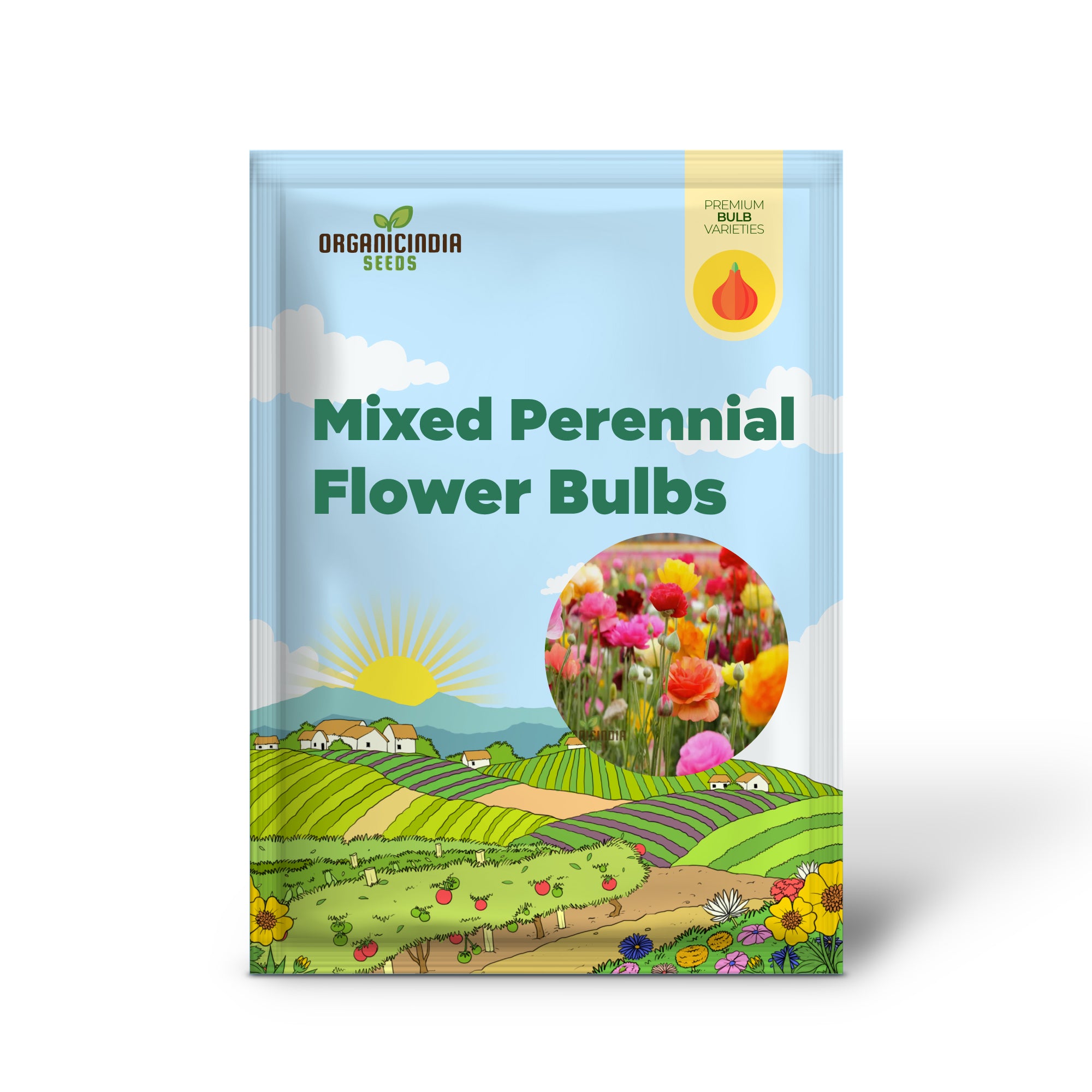 Bulbos de flores perennes mixtas Buttercup, magníficas flores dobles de colores brillantes similares a rosas (3 bulbos para plantar)