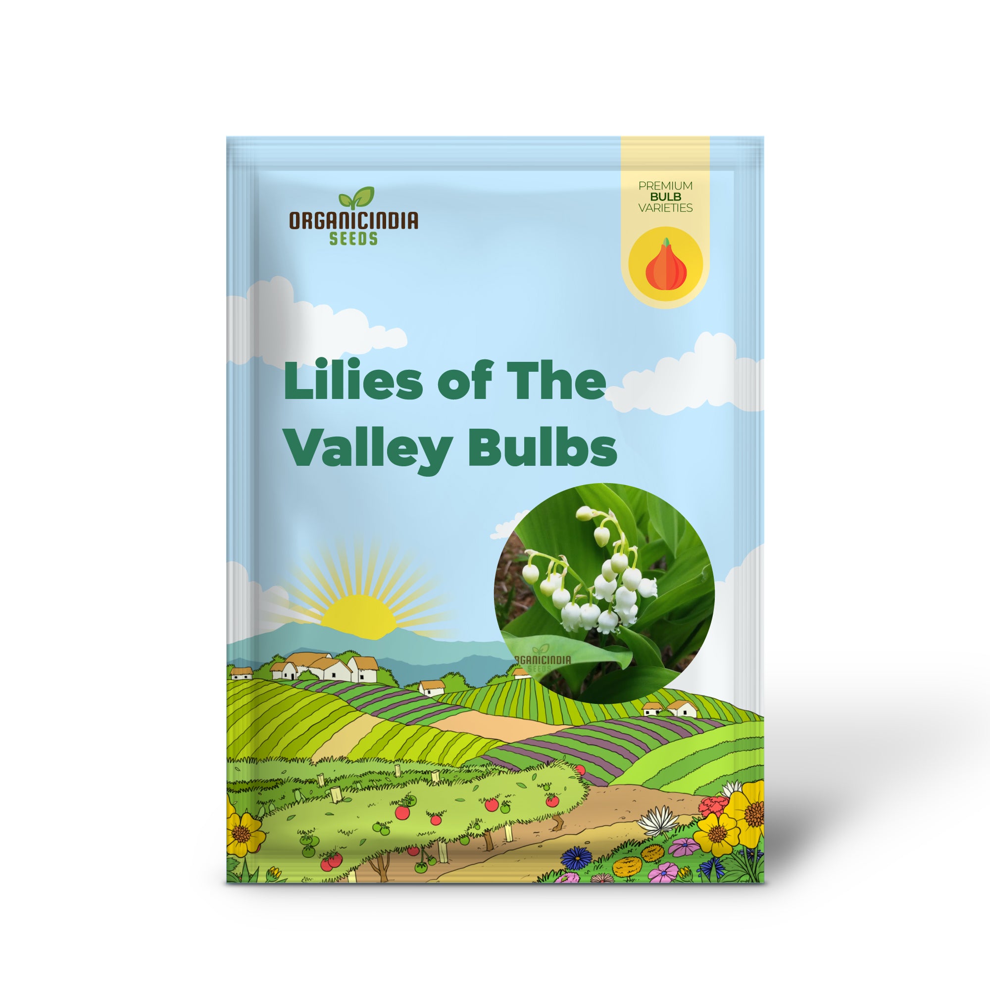 Bulbos de lirios del valle, plantas de lirio del valle, bulbos de flores de lirio para plantar raíces desnudas perennes para jardín exterior (3 bulbos para plantar)