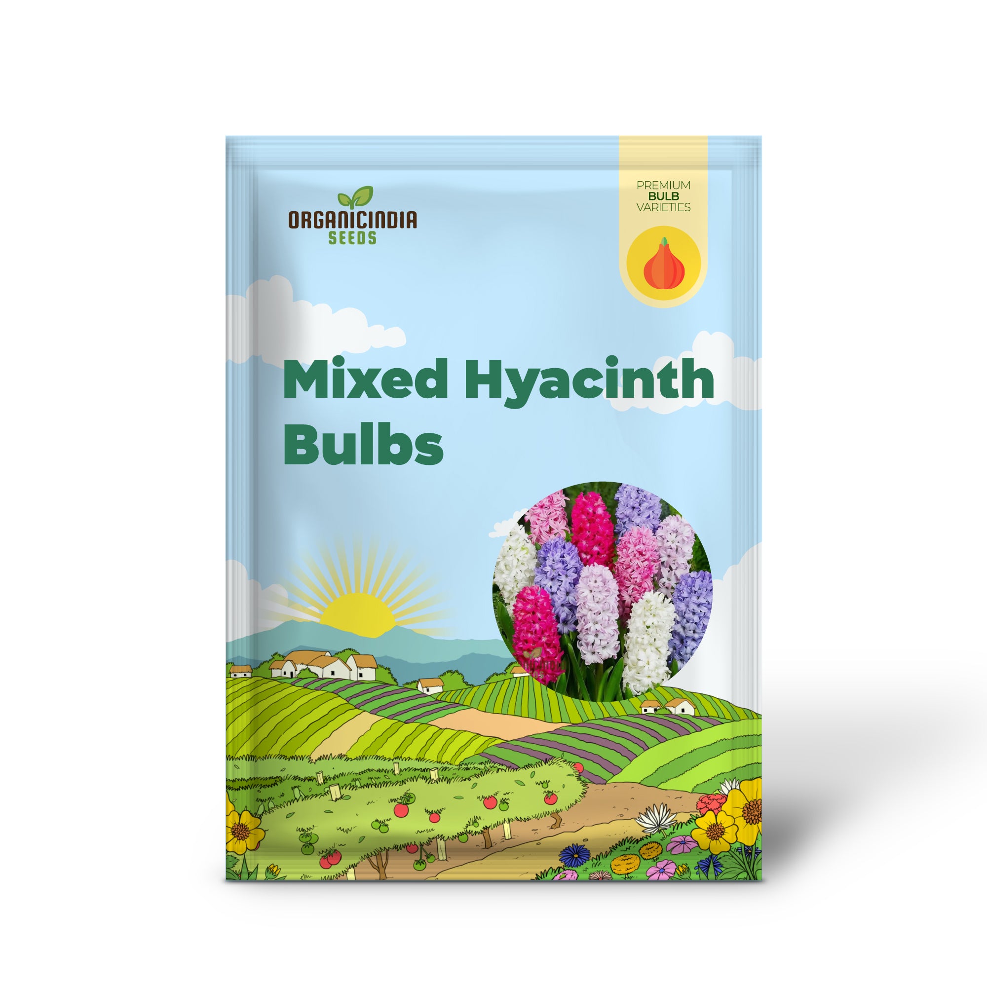 Bulbos mixtos de jacinto para plantar (3 bulbos para plantar)