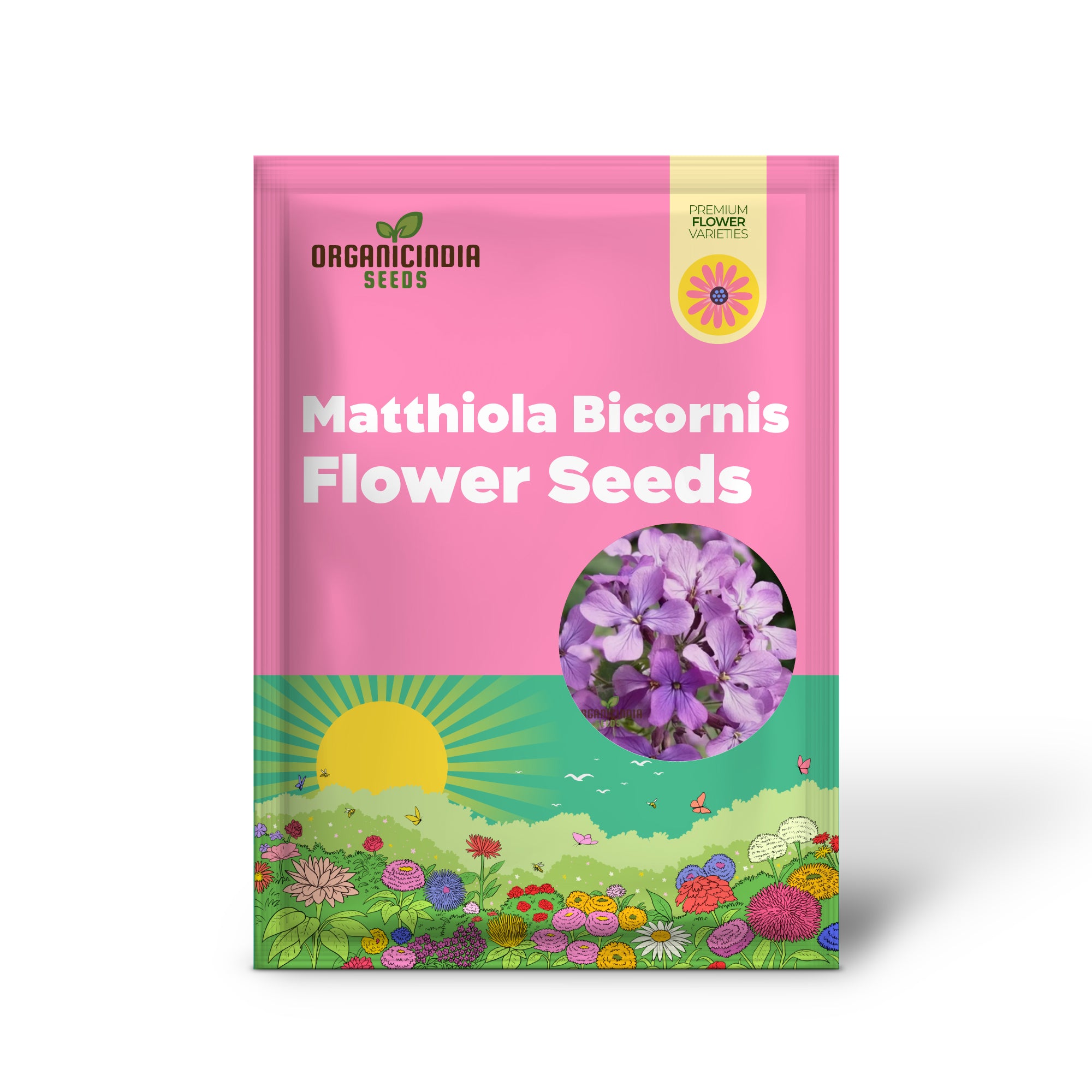 Semillas de flor fragante Matthiola Bicornis para plantar, semillas ideales para jardinería exuberante y floraciones vespertinas