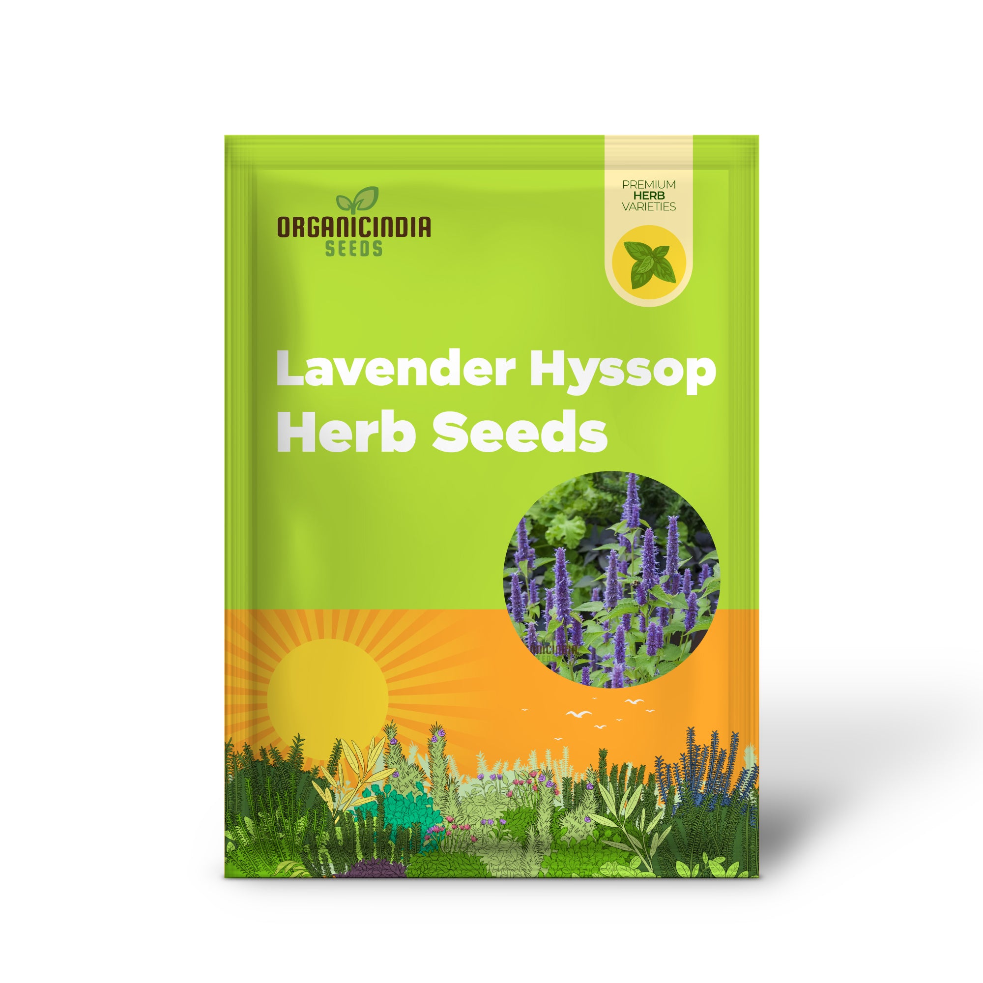 Semillas de Hierba de Hisopo de Lavanda Orgánica, Aromática, Medicinal, Esencial para Jardín Amigable con las Abejas