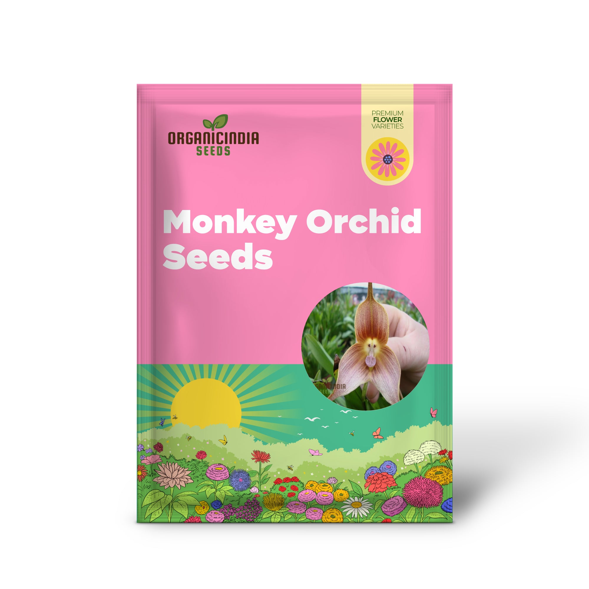 Grow Your Own Exotic Monkey Face Orchid Premium Seeds for Unique Gardening Enthusiasts