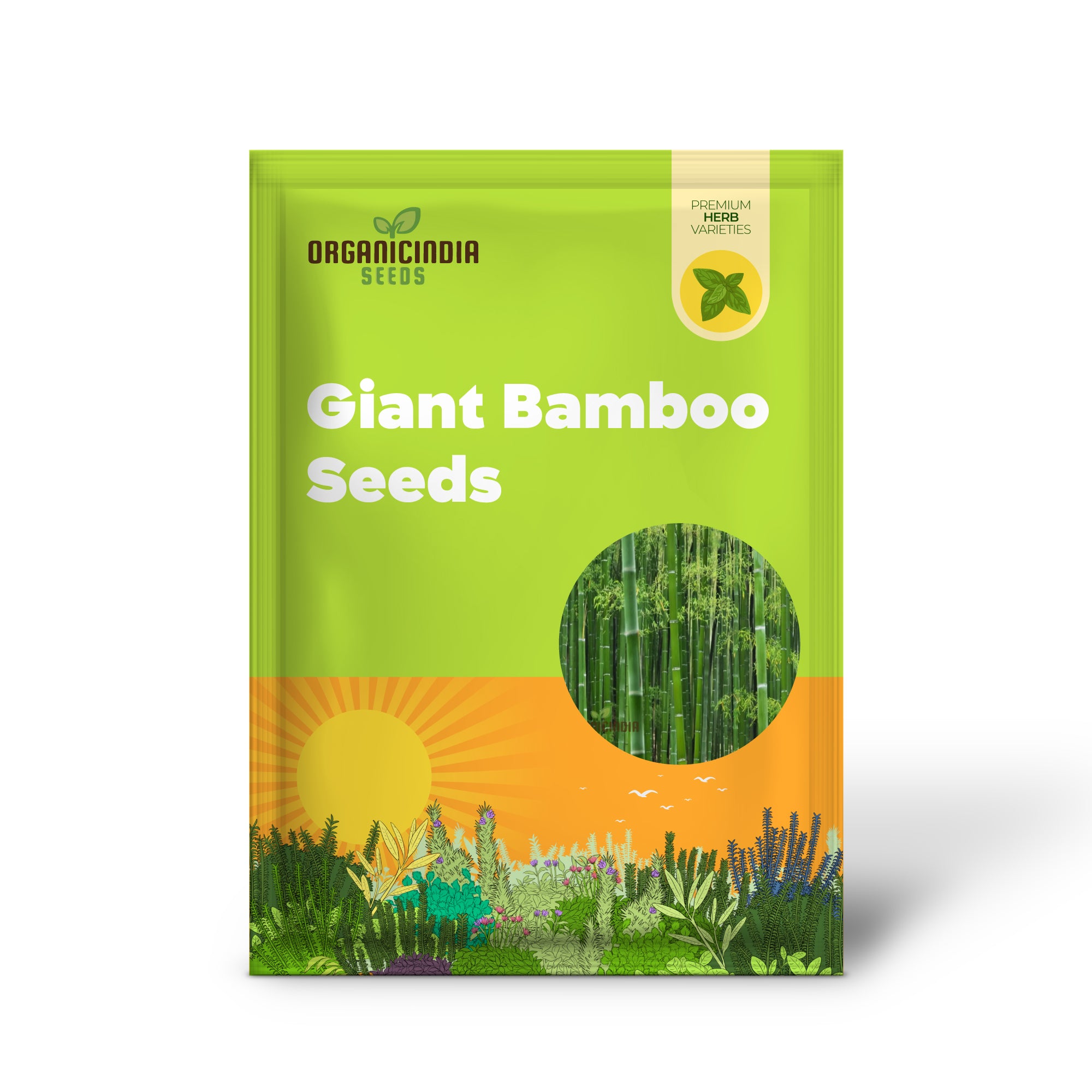 Graines de bambou géant  Faites pousser des plantes majestueuses pour des paysages de jardin époustouflants