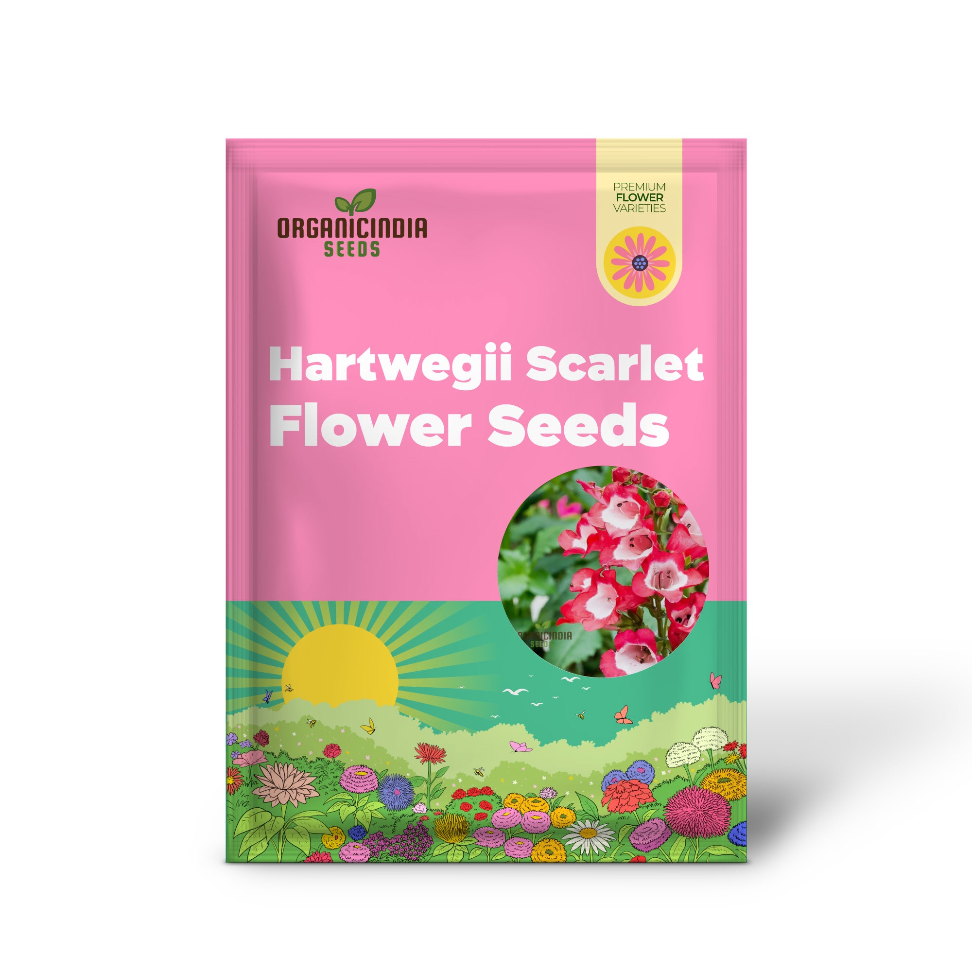 Semilla de flor Hartwegii Scarlet Queen para plantar, semillas de Penstemon Hartwegii, semilla de flor de hierba roja - semillas de flores heredadas no transgénicas