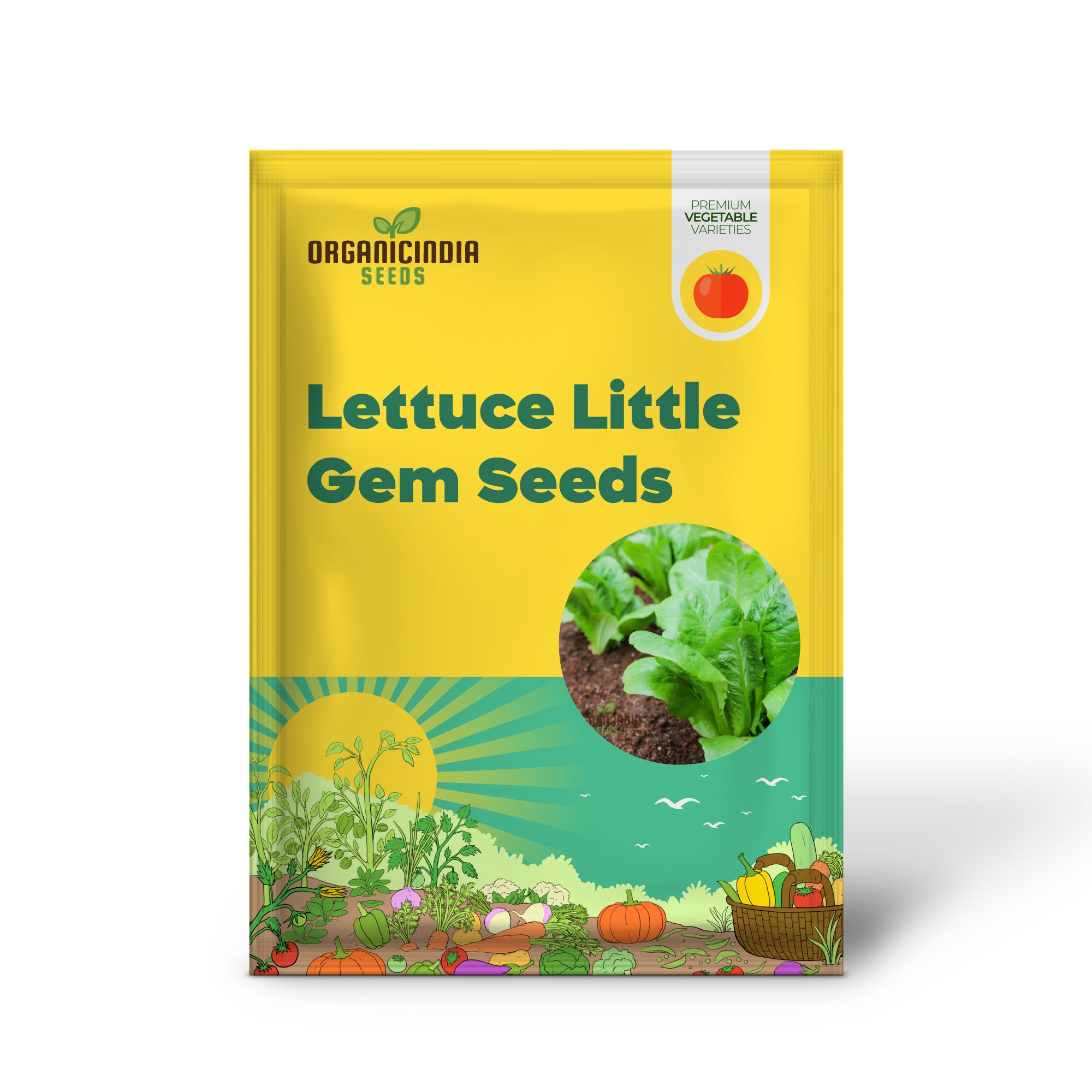 Semillas de Lechuga Little Gem para Jardinería – Semillas No-OGM de Alto Rendimiento para Tu Jardín