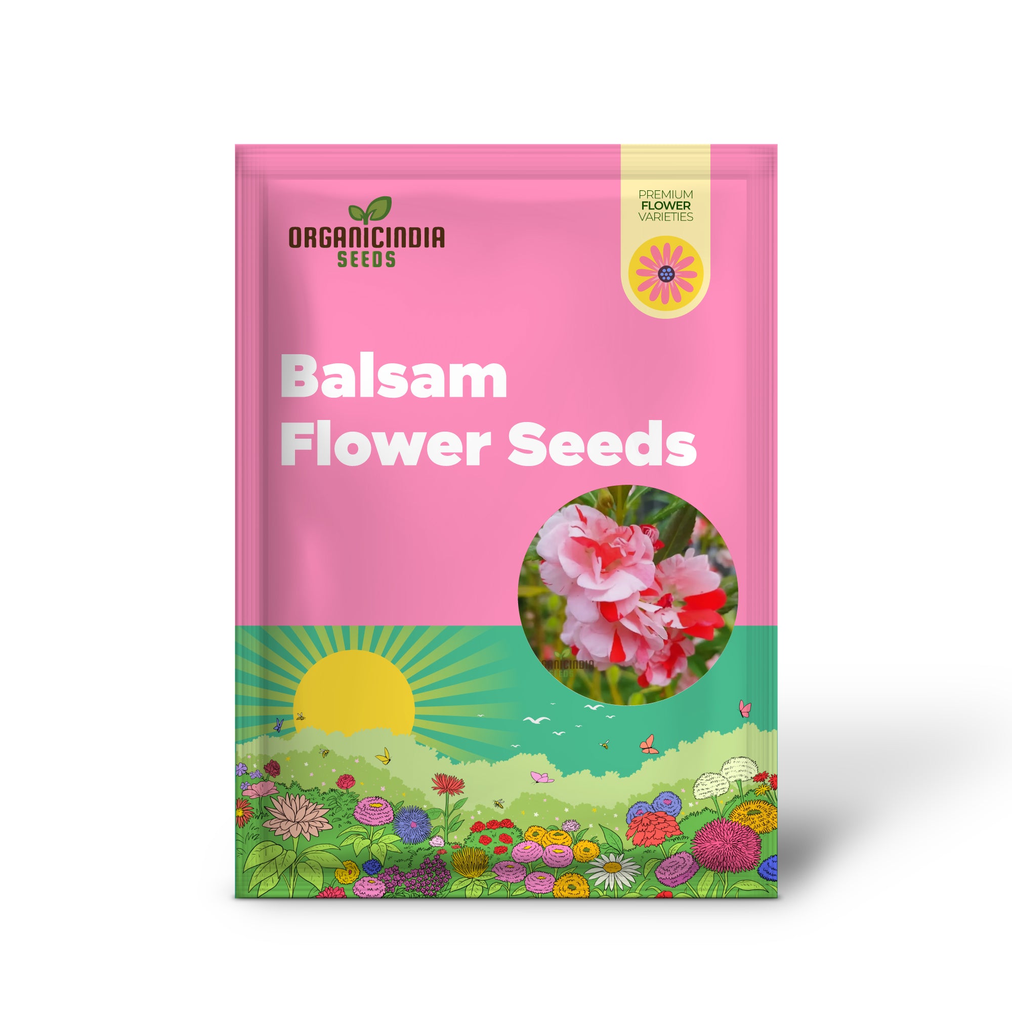 Graines de fleurs simples de Balsam Desi - Cultivez vos propres fleurs de jardin colorées et charmantes