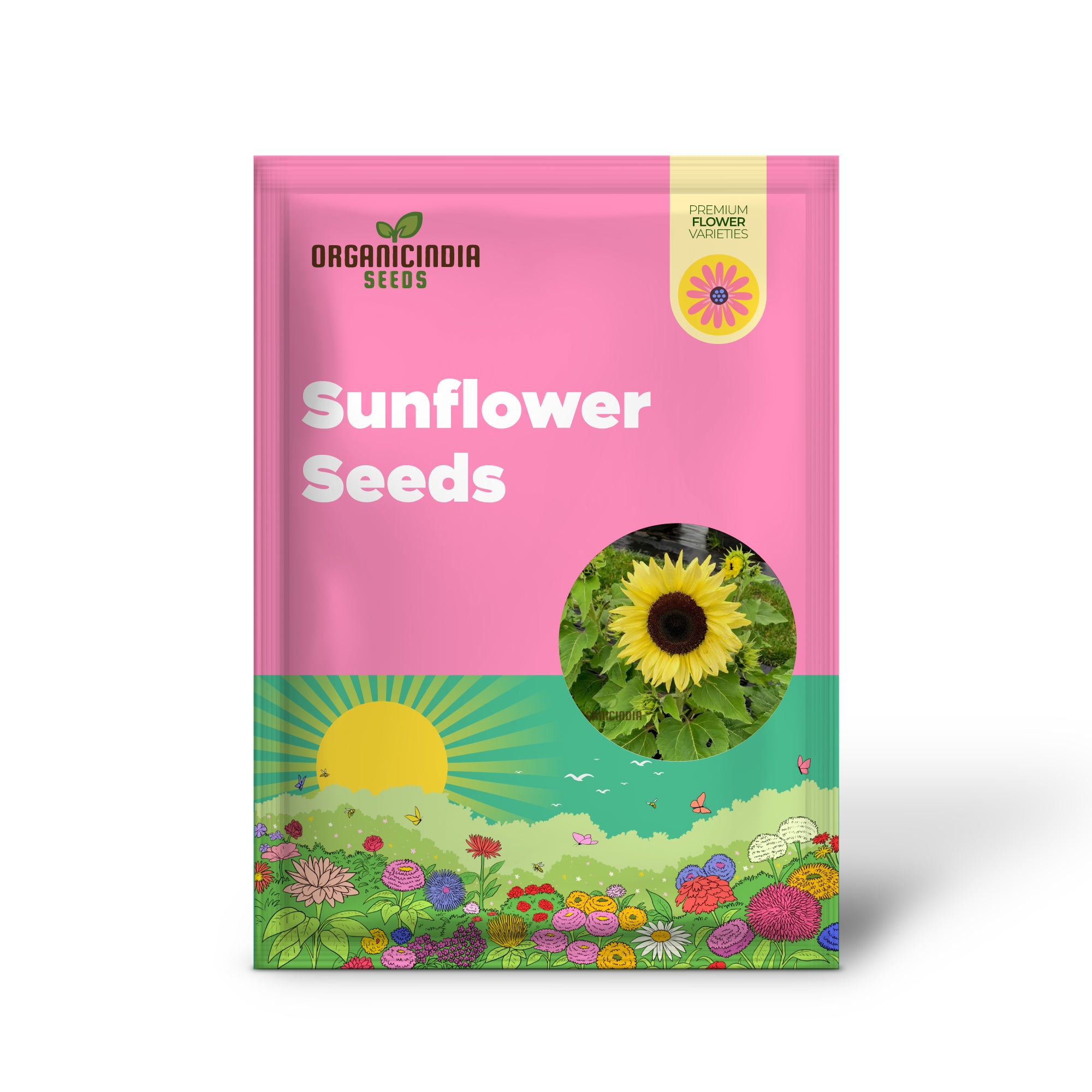 Semillas de Girasol, Semillas de Flor Lemon Striker Perfectas para Entusiastas de la Jardinería y Jardines Vibrantes