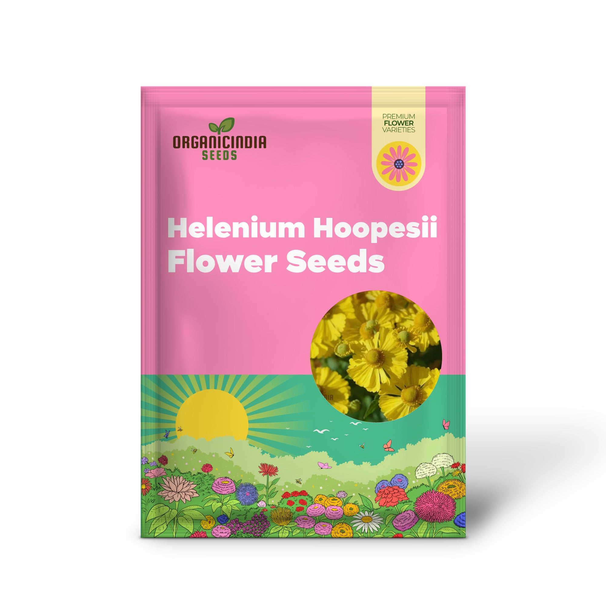 Helenium Hoopesii Flower Seeds for Planting, Exquisite Flower Seeds for Your Garden