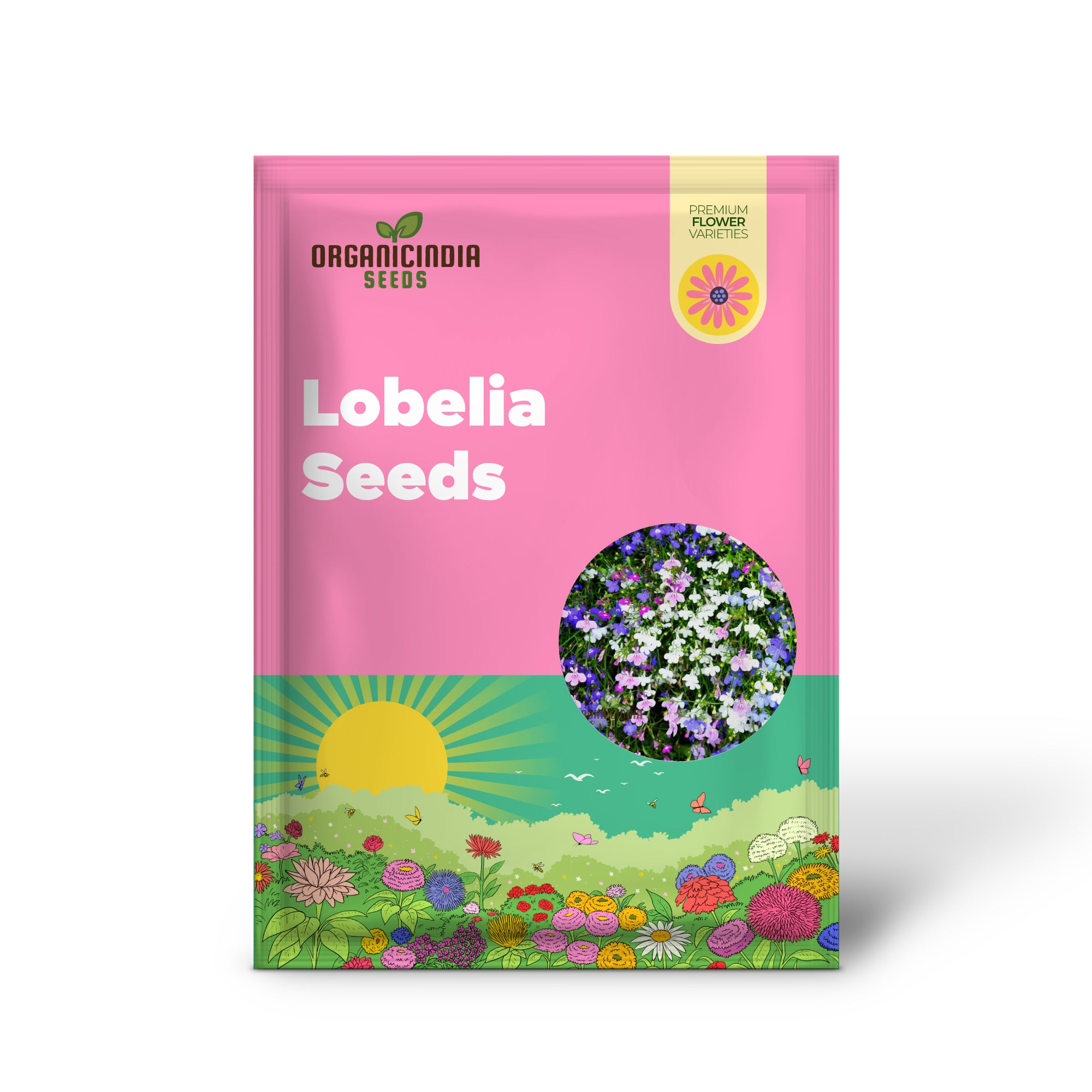 Semillas de Lobelia Mrs Clibran para Cultivar Bordes de Jardín Impresionantes | Semillas de Jardinería de Alta Calidad para Flores Exquisitas