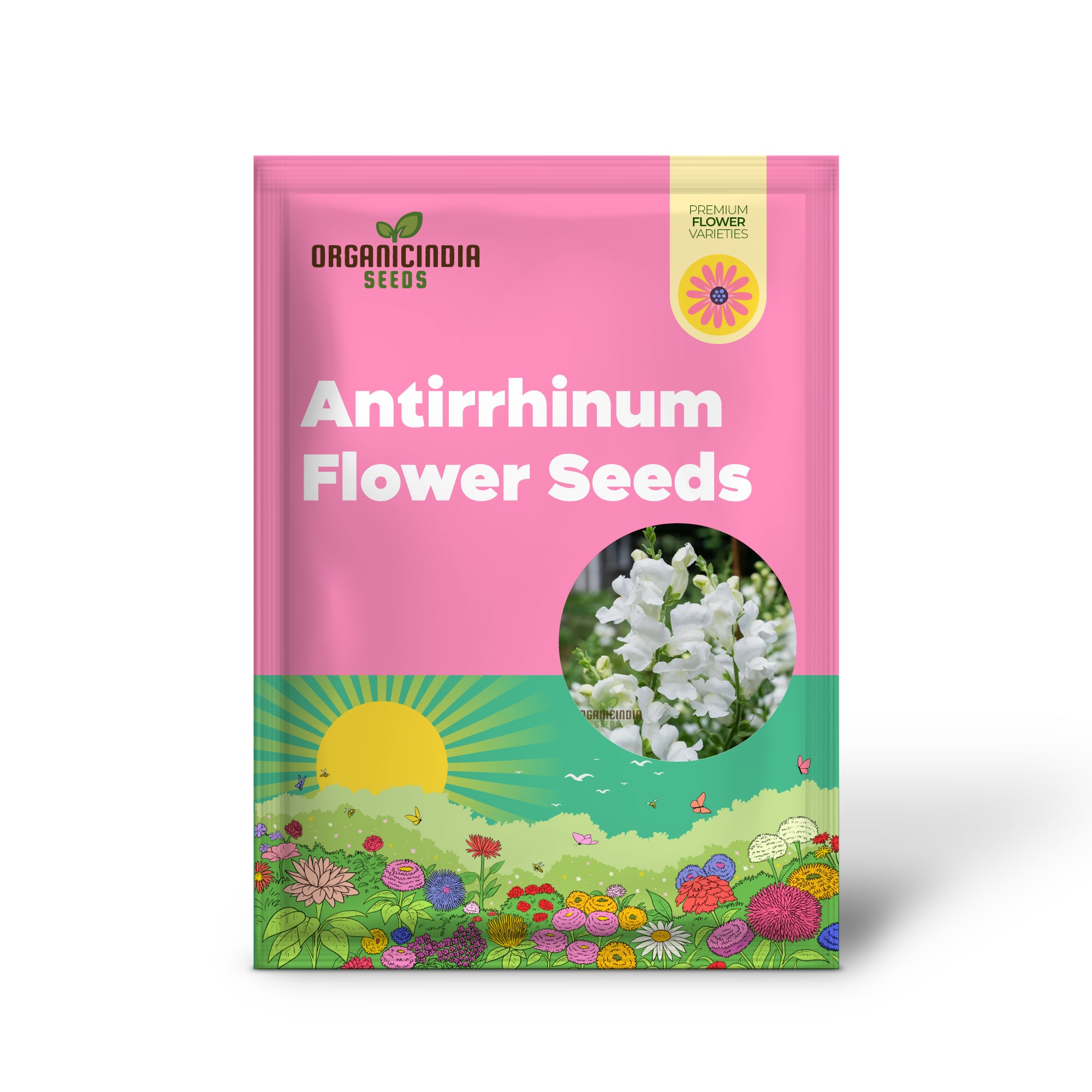 Semillas de floración Antirrhinum White Admiral F1laevis, una guía completa para la selección de flores, la siembra de semillas y consejos de jardinería