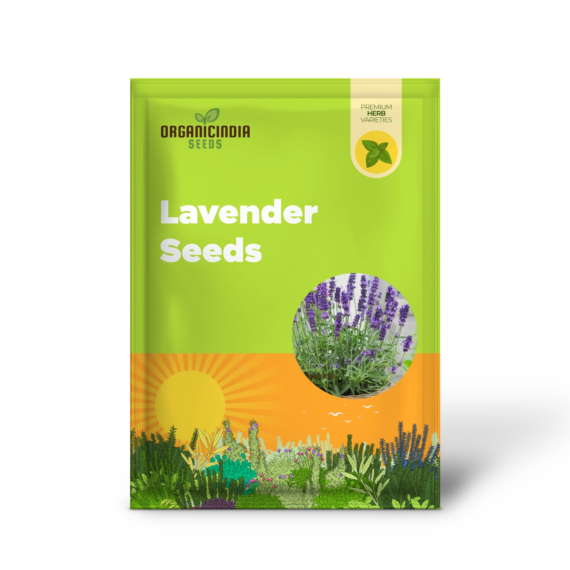 Semillas de lavanda inglesa para tu jardín: excelencia en plantación y belleza fragante