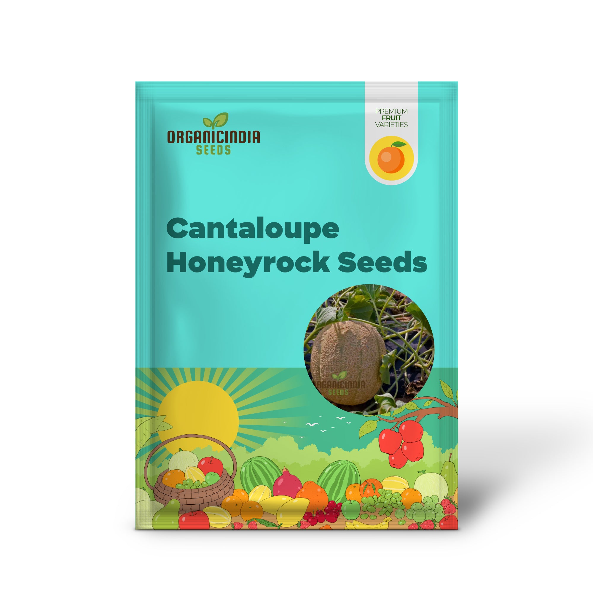 Semi di Verdura Cantalupo Honeyrock per Giardinieri Esperti | Meloni ad Alto Rendimento e dal Gusto Intenso | Varietà Ereditaria Non-OGM per Giardini Fiorenti