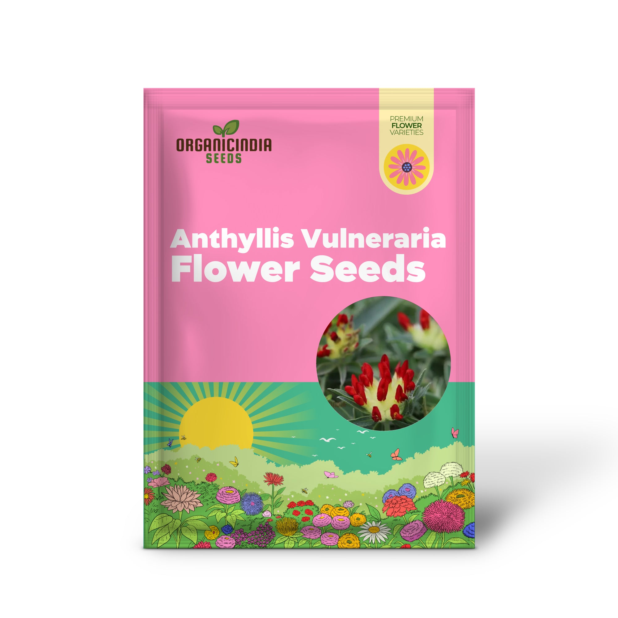 Semillas de flores Anthyllis Vulneraria Coccinea para plantar: flores rojas vibrantes para tu jardín