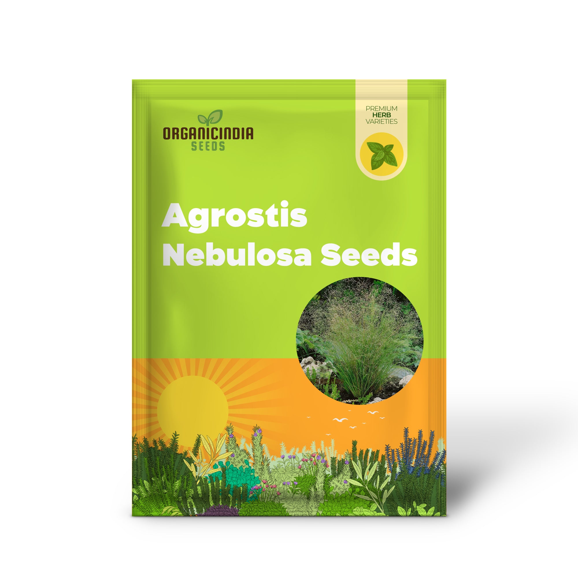 Semillas de Agrostis Nebulosa 'Fibre Optics', Iluminando Tu Jardín