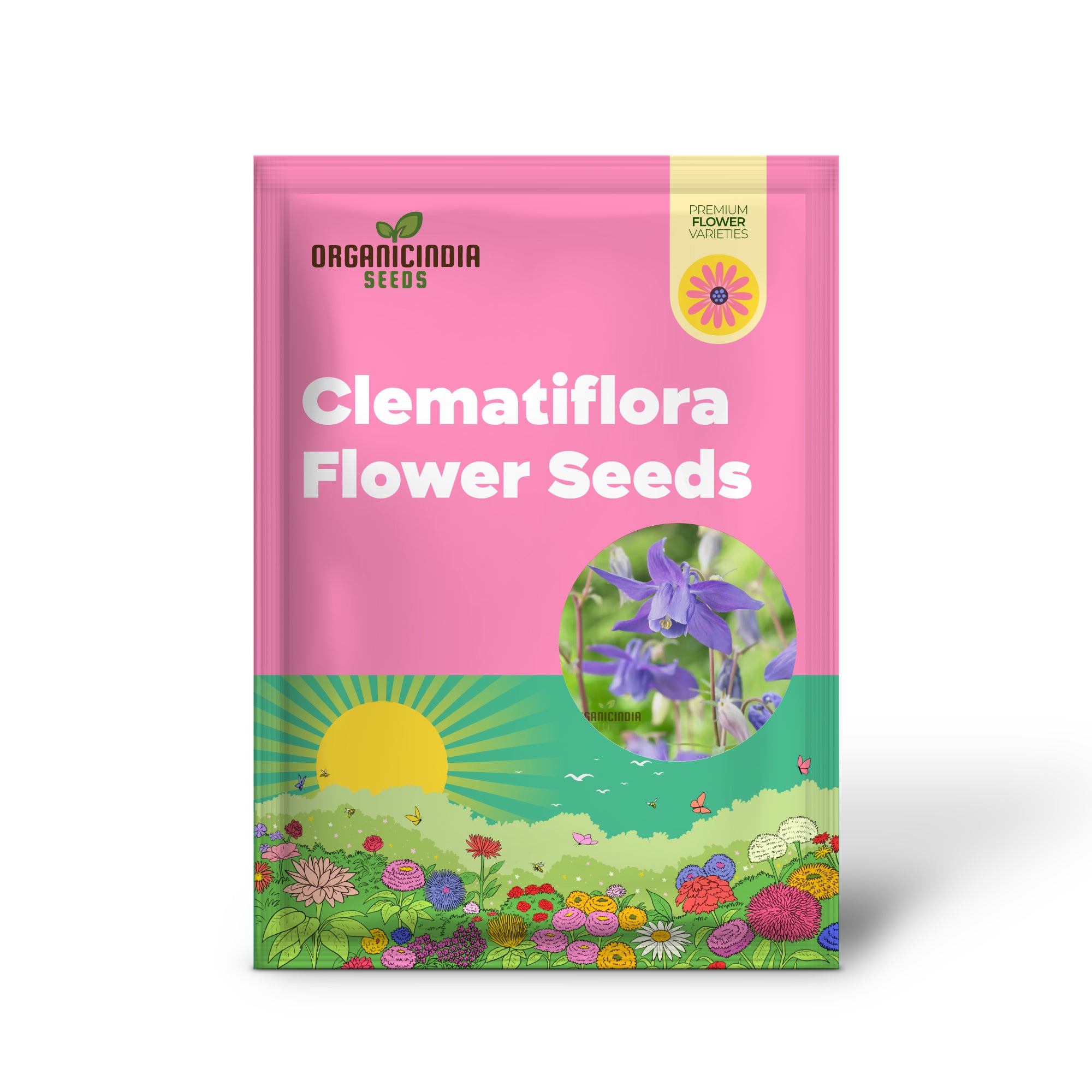 Semillas raras de Aquilegia Clematiflora de flor azul - Planta exótica de jardinería para impresionantes flores azules