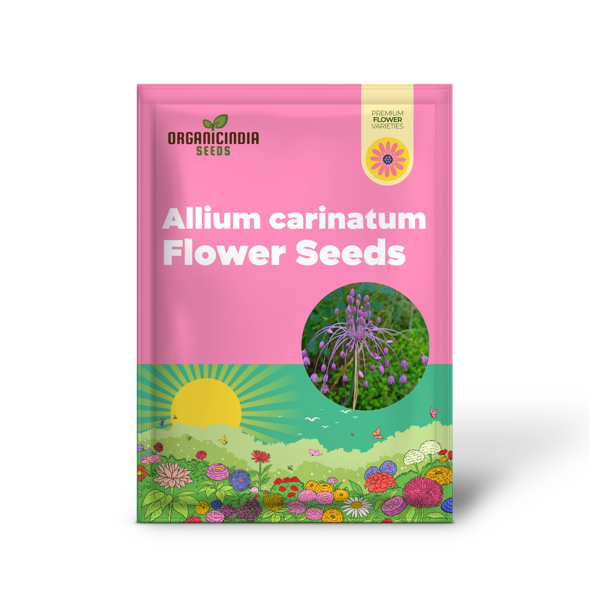 Semillas de flores de Allium carinatum subsp. pulchellum, cultivando flores elegantes con plantación y jardinería experta