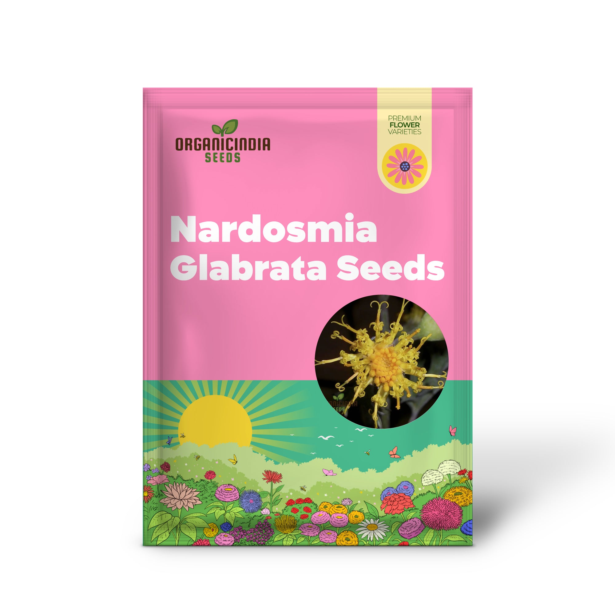 Semillas de flor Cacaliopsis nardosmia glabrata para plantar, cultivando flores exquisitas con técnicas expertas de plantación y jardinería