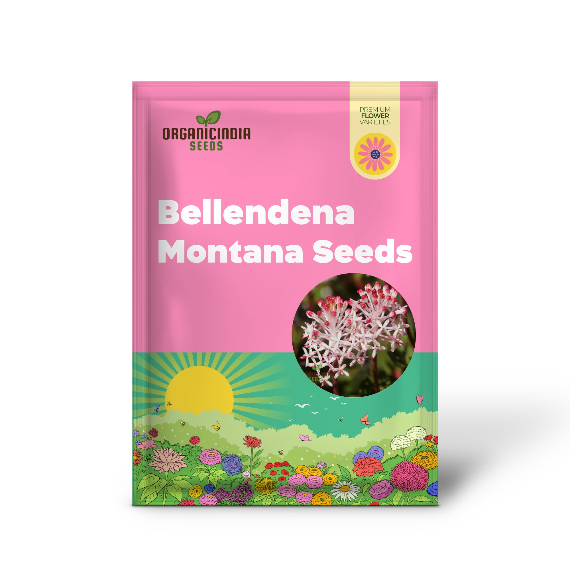 Semillas de Bellendena Montana para Plantar: Cultivando Tranquilidad en Tu Jardín - Esenciales Premium para Jardinería y Consejos de Expertos