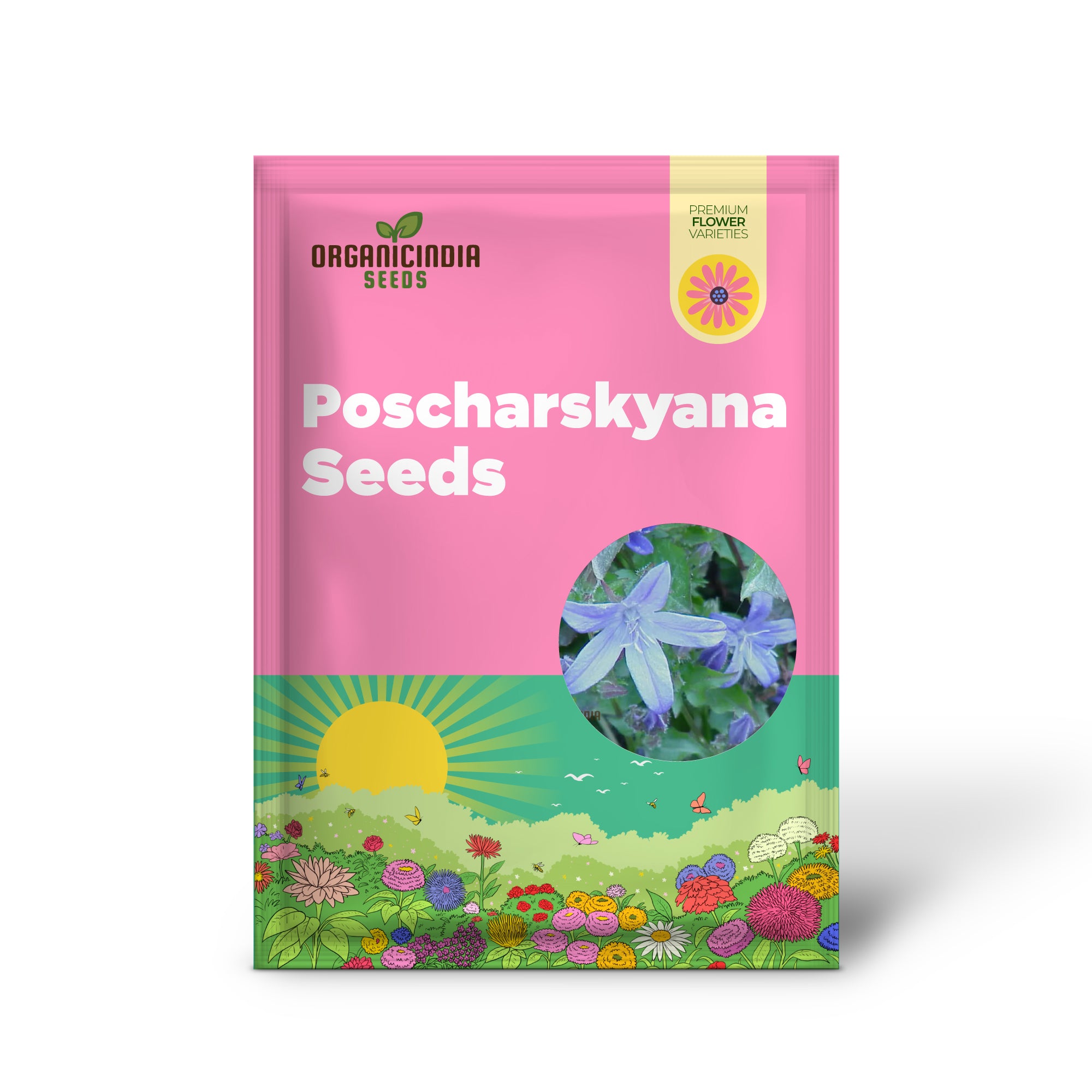 Graines de Campanula Poscharskyana : Un tapis de jacinthes des bois enchanteur pour votre jardin - Graines de couvre-sol vivaces robustes à planter