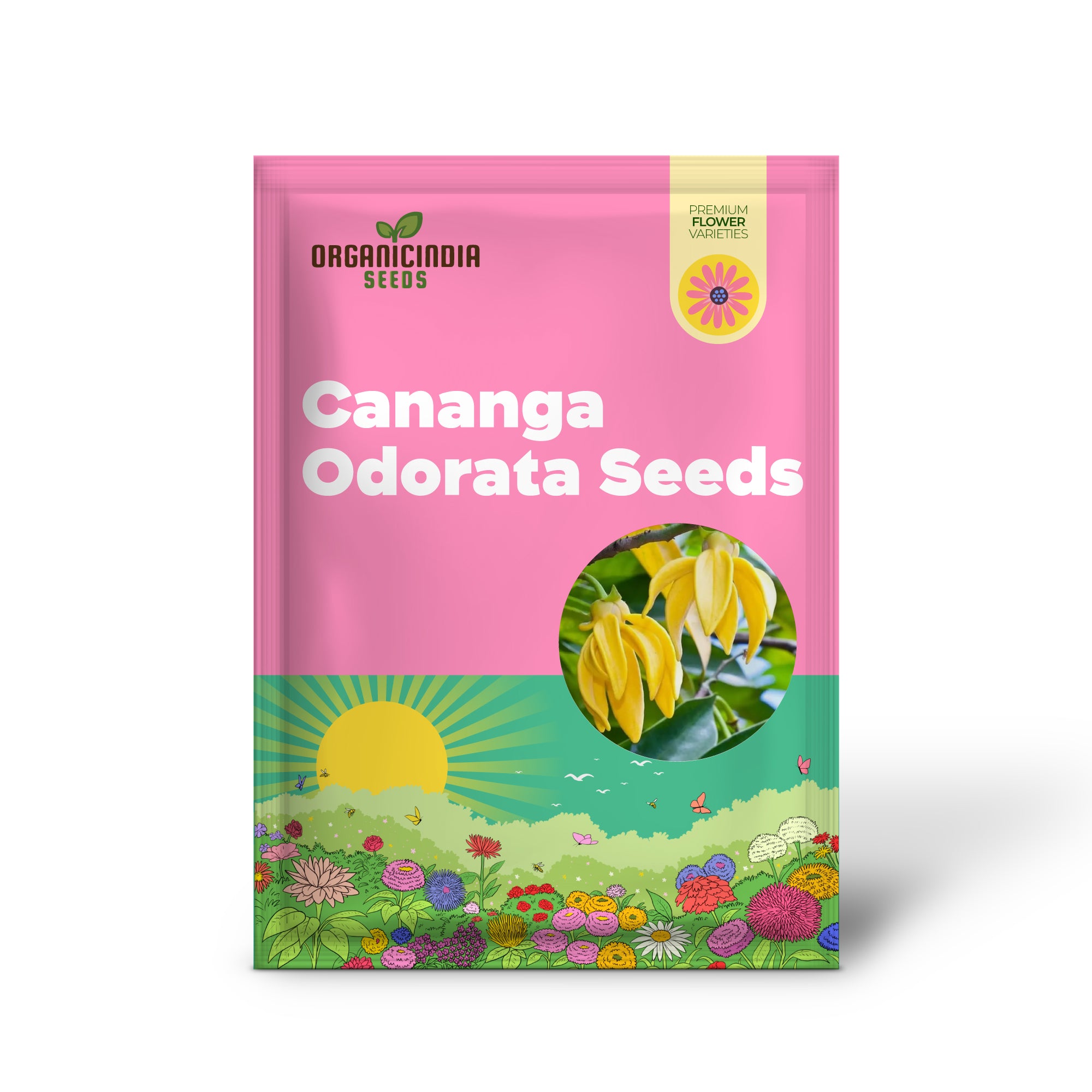 Semillas de Canarina Canariensis para Plantar: Vid de Campanilla Rara para tu Oasis de Jardín - Planta Exótica de Campanilla Canaria para Flores Vibrantes y Enrejado Elegante en Shopify