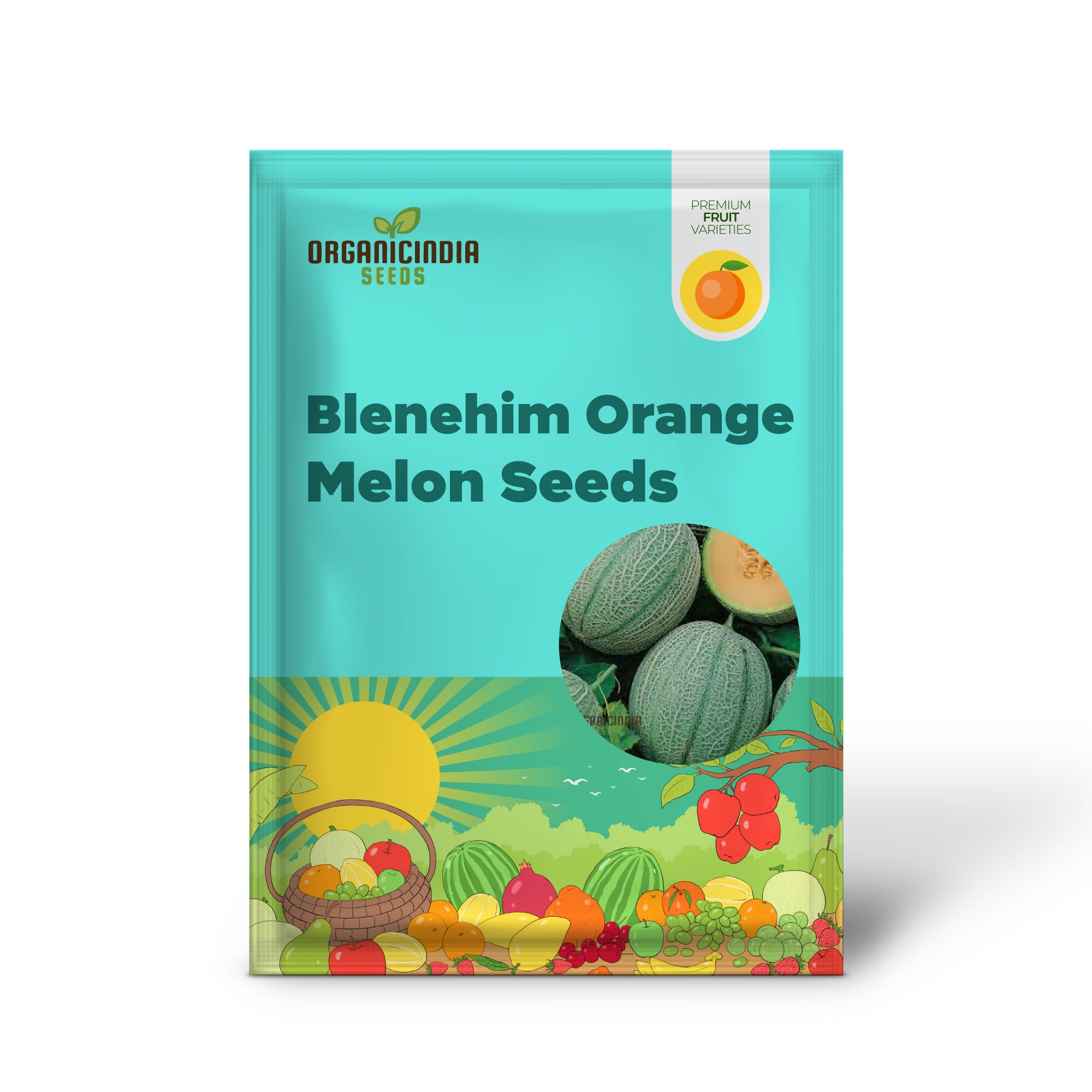 Graines de melon orange Blenehim - Variété ancestrale sucrée et juteuse pour votre jardin