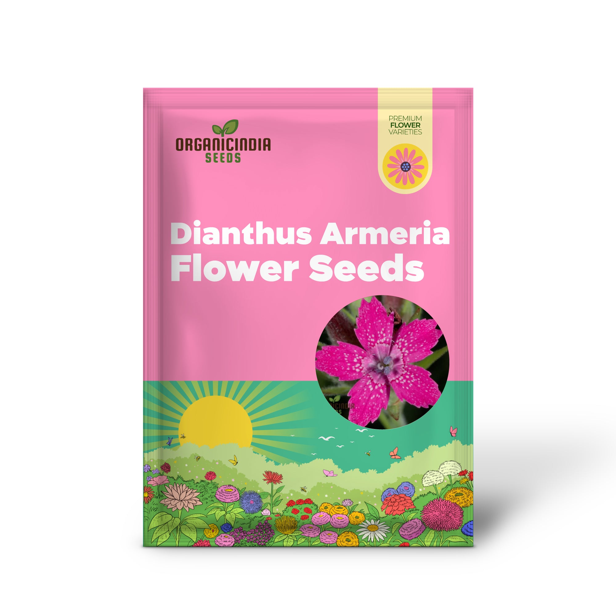 Semillas de Flor Dianthus Armeria, Ilumina Tu Jardín con Flores Resistentes y Coloridas