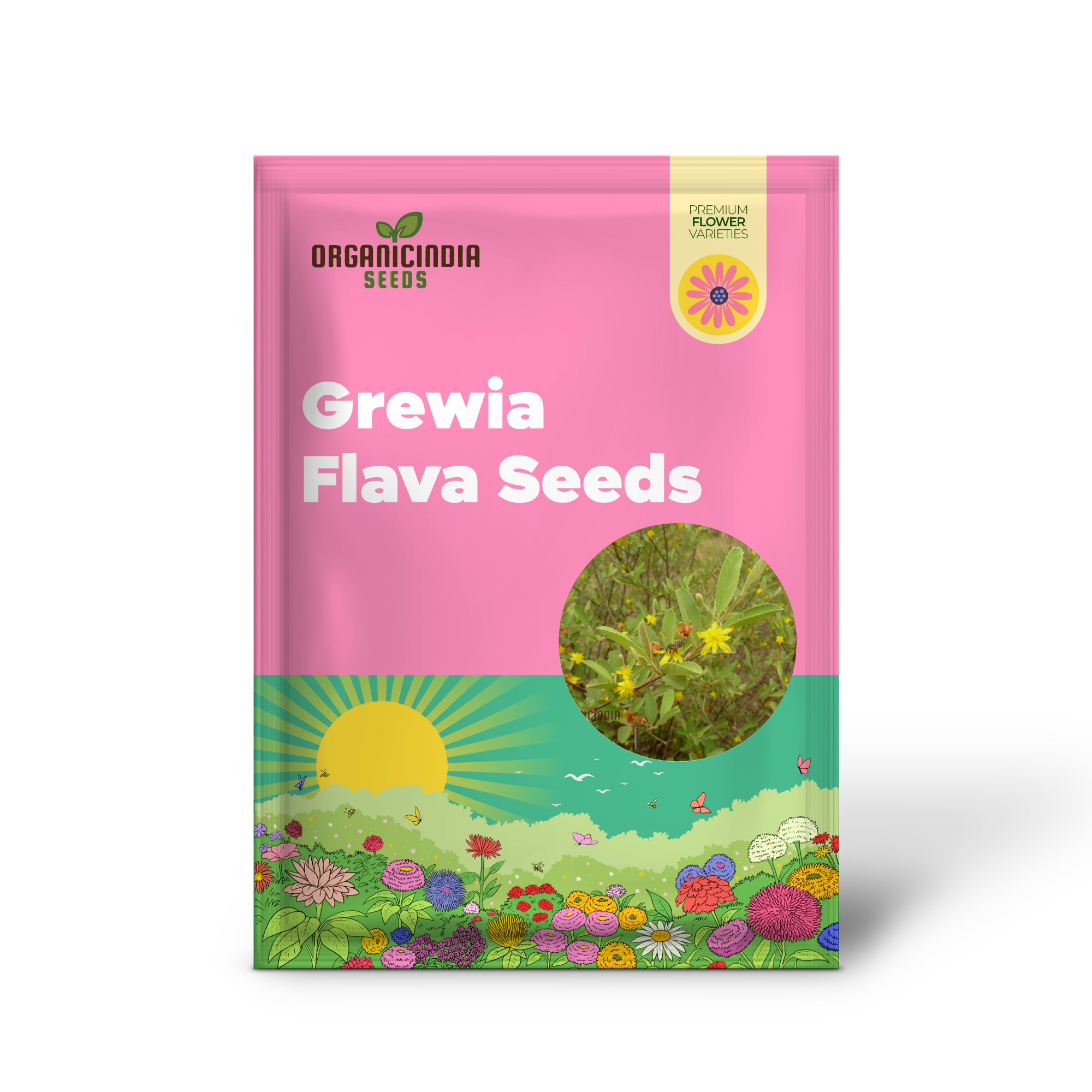 Grewia Flava Seeds: Your Ultimate Guide to Growing and Caring for the Golden-leaved Raisin Bush in Your Garden