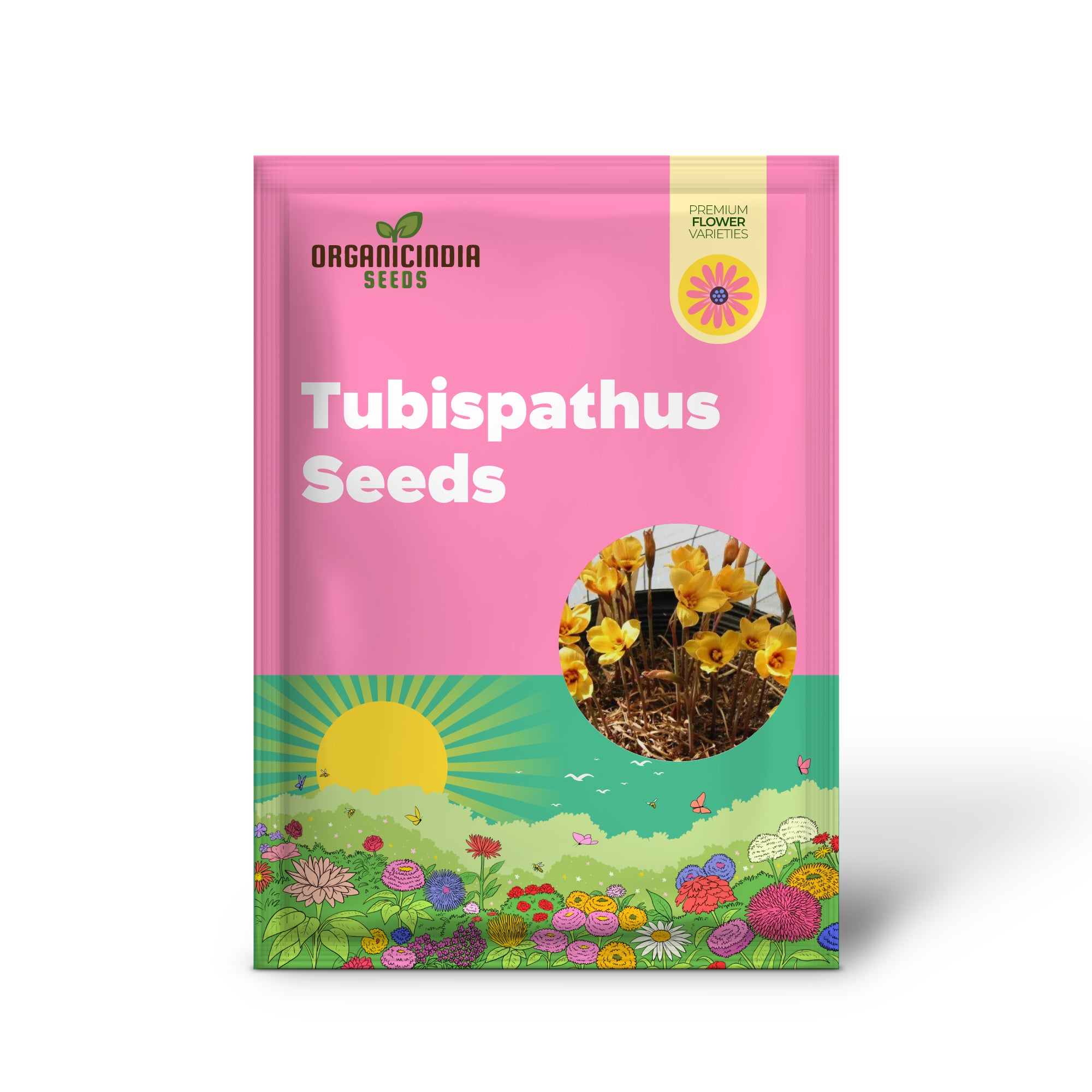 Habranthus Tubispathus Seeds for Planting: Exquisite Flowering Garden Addition – Rare Flower Seeds