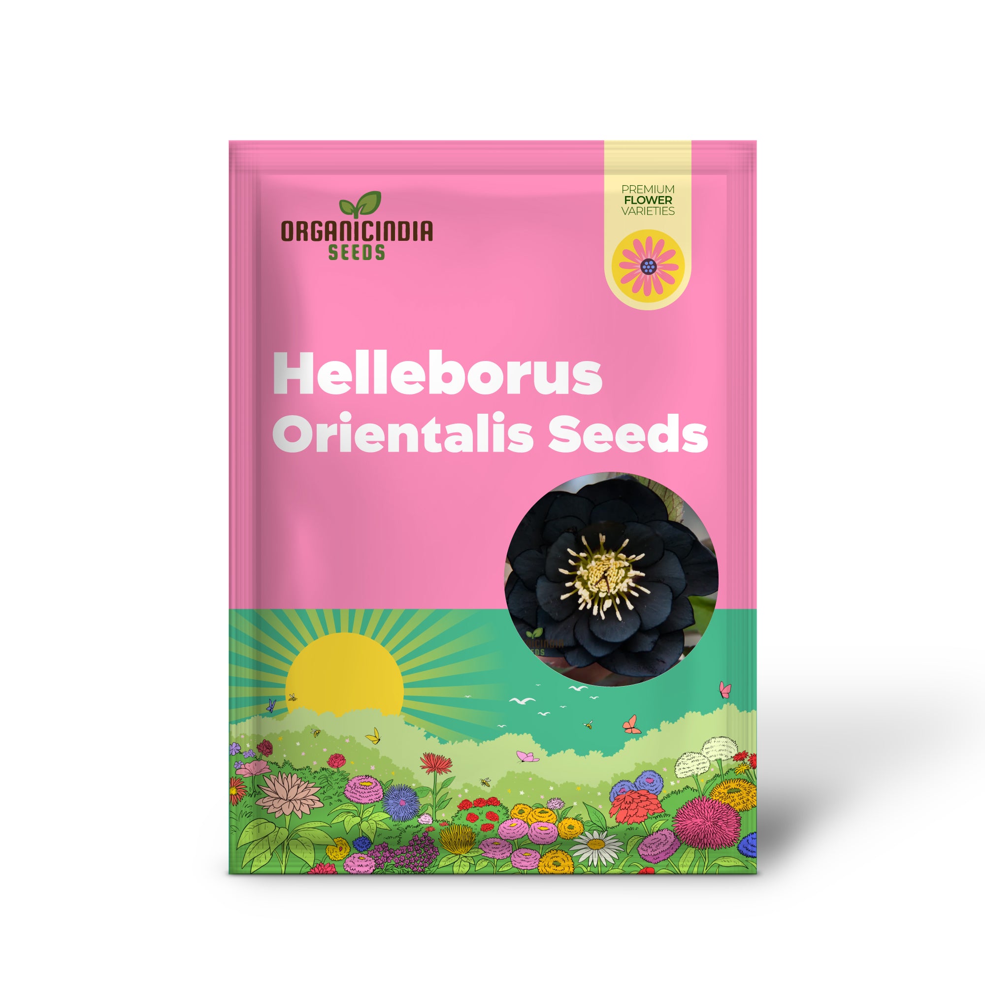 Helleborus Orientalis Seeds: Explore the Beauty of Lenten Roses in Your Garden - Shop Gardening Delights!