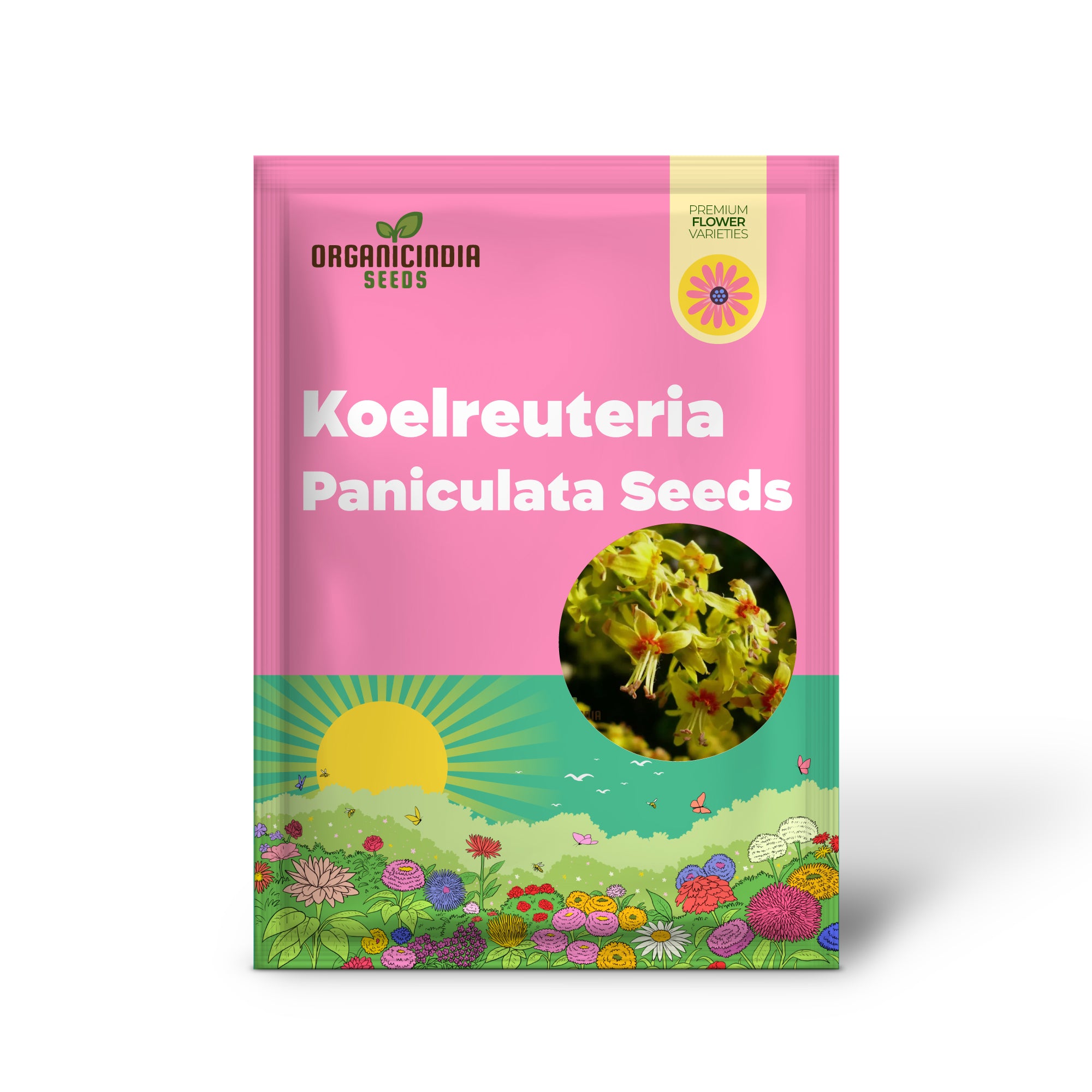 Koelreuteria Paniculata Seeds: Grow Stunning Golden Rain Trees with Ease and Enjoyment!