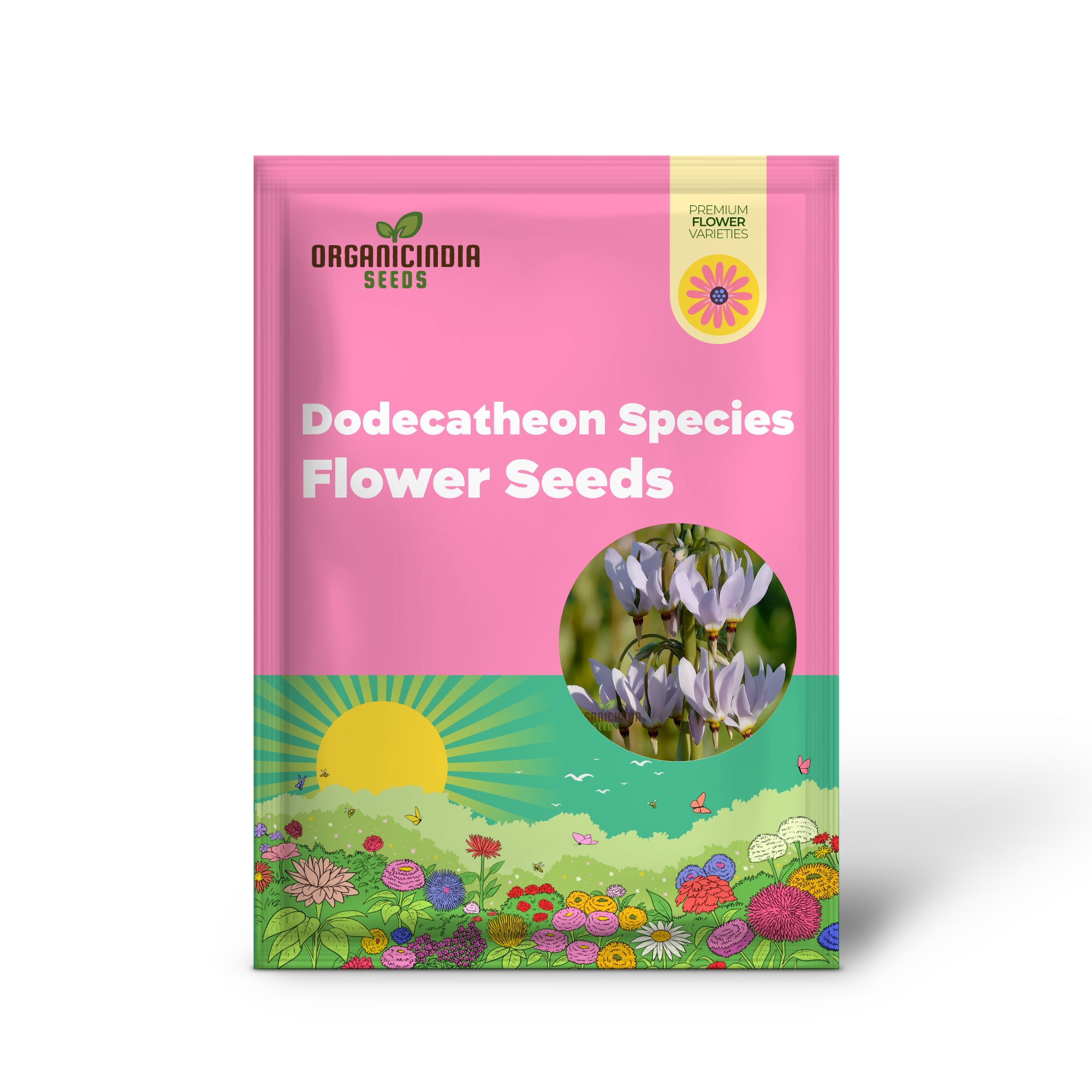 Dodecatheon Species Mixed Flower Seeds, A Kaleidoscope of Wildflower Beauty