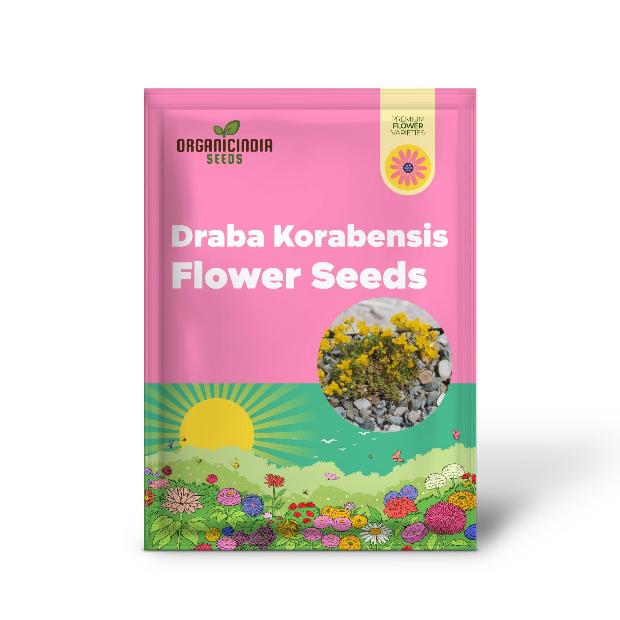 Semi di Fiore Draba Korabensis per Piantare, Rara Eleganza Alpina per il Tuo Giardino