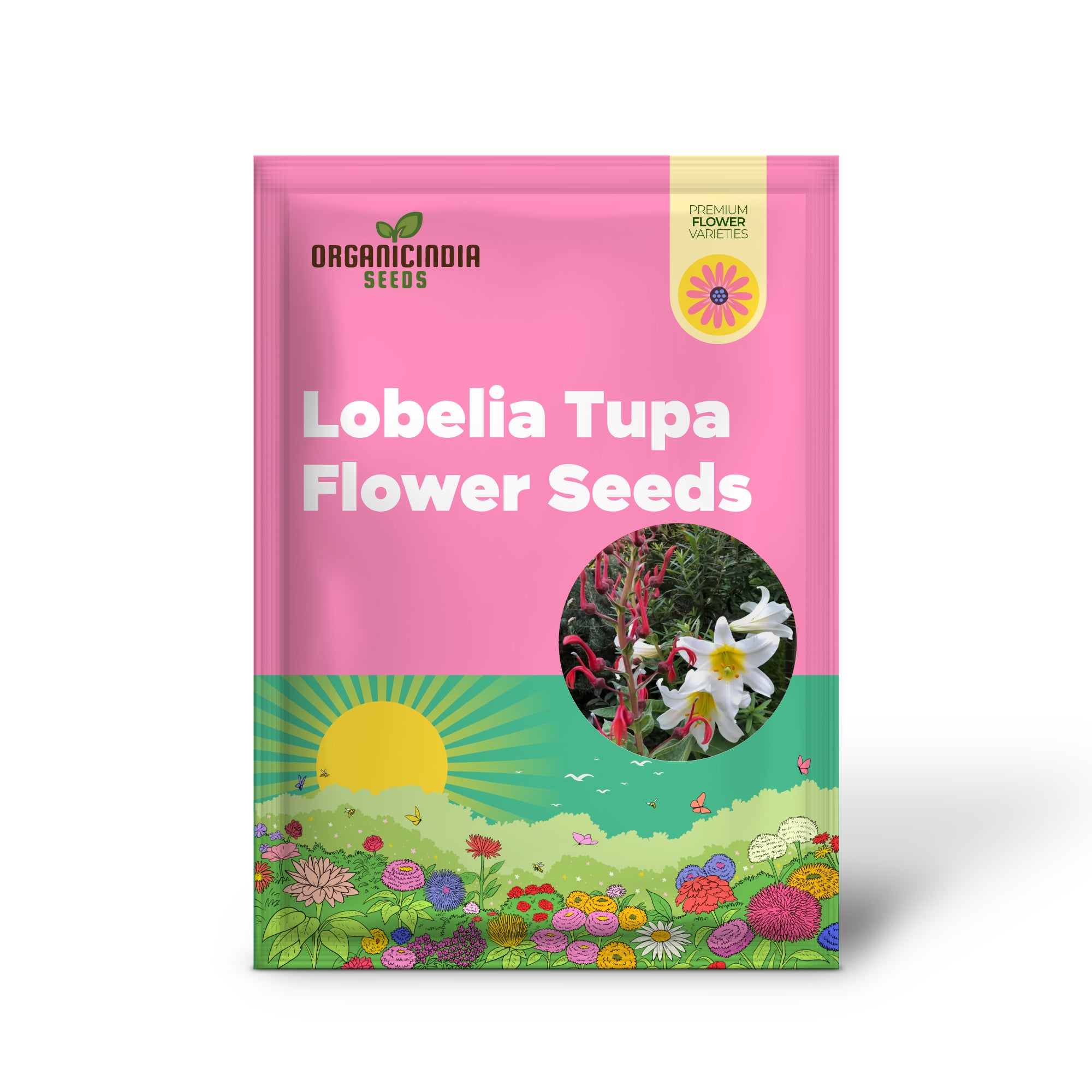 Semi di Fiore di Lobelia Tupa per Piantare, Semi da Giardinaggio di Qualità Premium