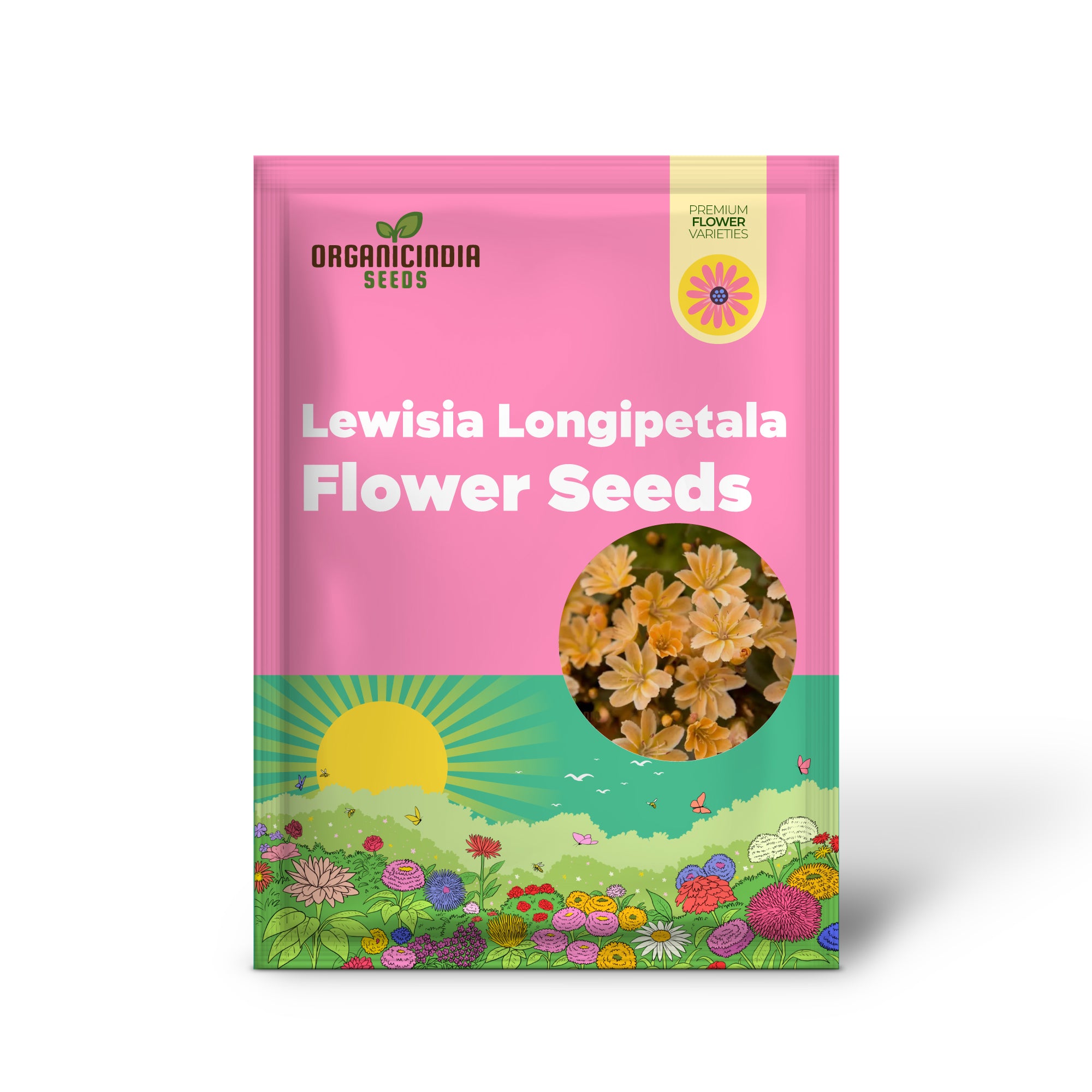 Lewisia Longipetala 'Little Mango' Seeds – Cultivate Vibrant Beauty and Long-Lasting Blooms in Your Garden!