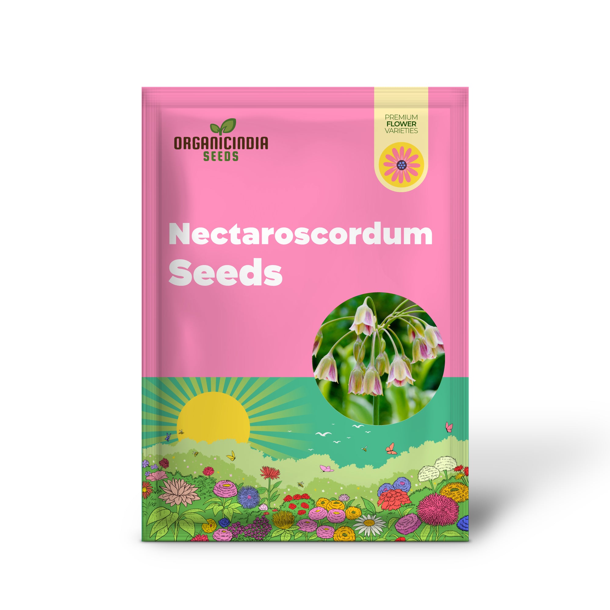 Semi di Nectaroscordum Siculum per Giardinaggio Eccezionale: Aggiungi una Bellezza Unica al Tuo Giardino con Questi Semi Stupendi