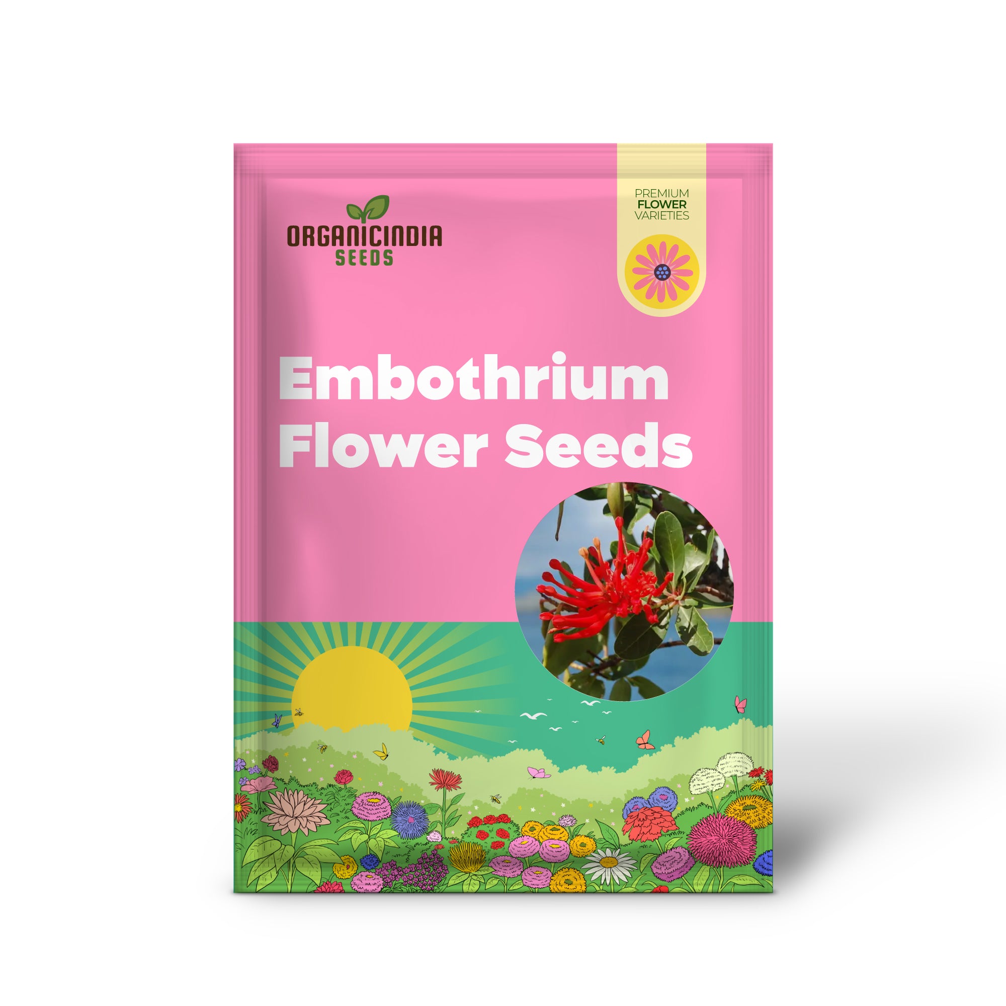 Semillas de flor de Embothrium Coccineum para plantar, cultivando brillantes flores escarlata en tu jardín