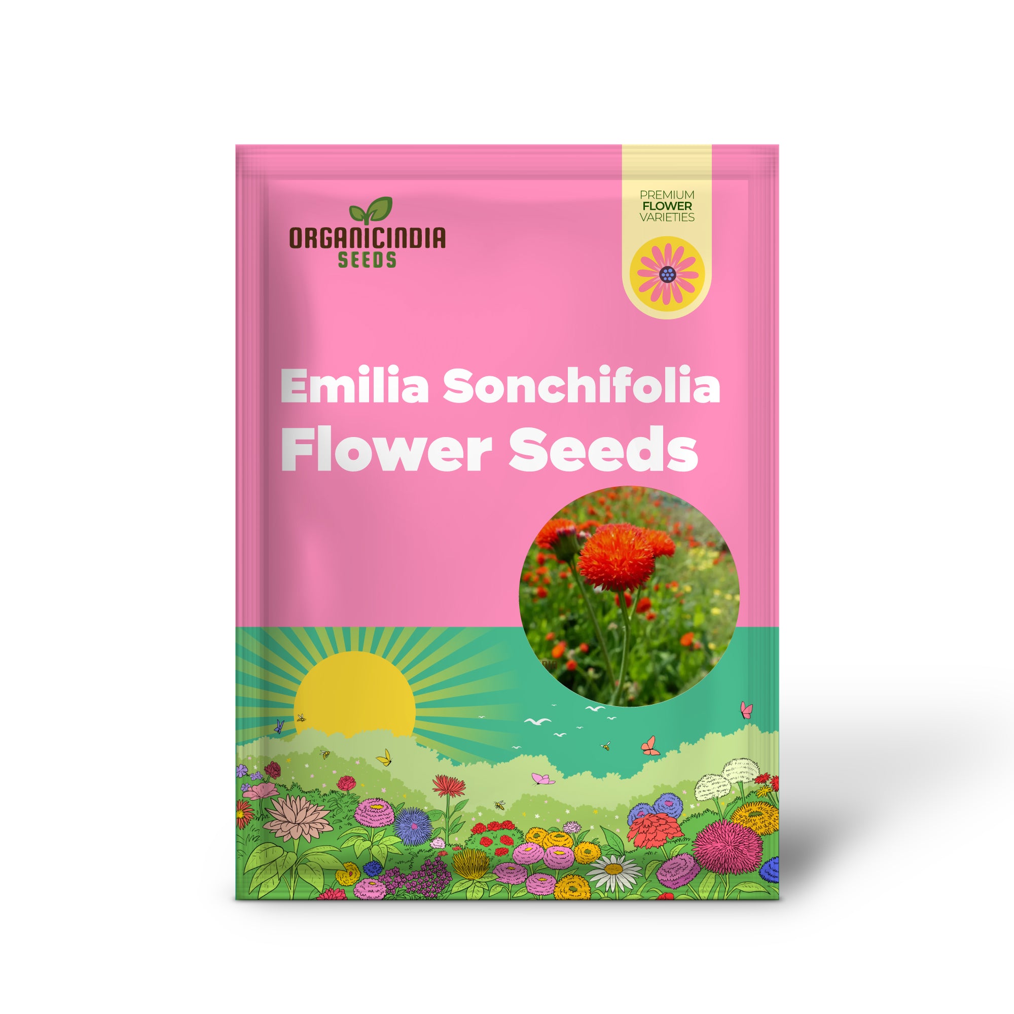 Emilia Sonchifolia 'Scarlet Magic' Flower Seeds For Planting, Adding Vibrant Color to Your Garden