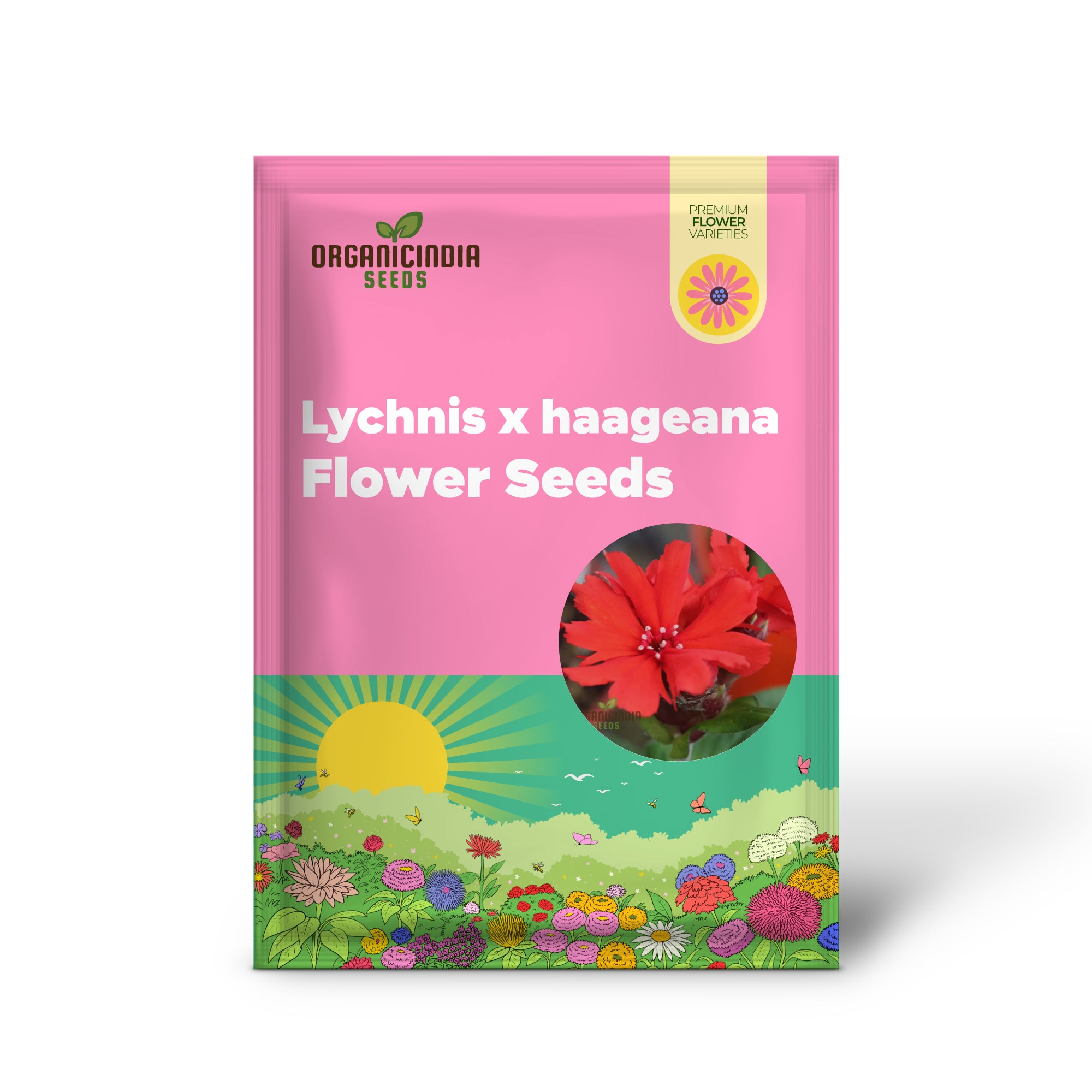 Semillas de flores Lychnis x haageana 'Molten Lava', flores vibrantes para jardín, semillas premium para jardinería