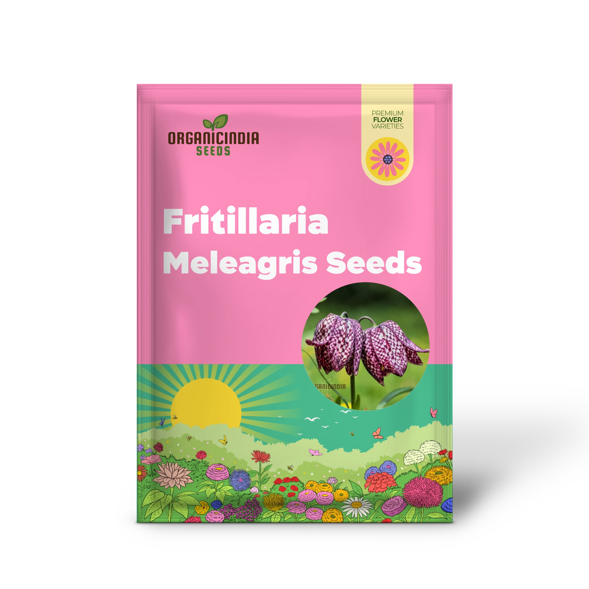 Semillas de Fritillaria Meleagris - Exquisito Lirio Ajedrezado para Plantar en Jardines y Naturalizar