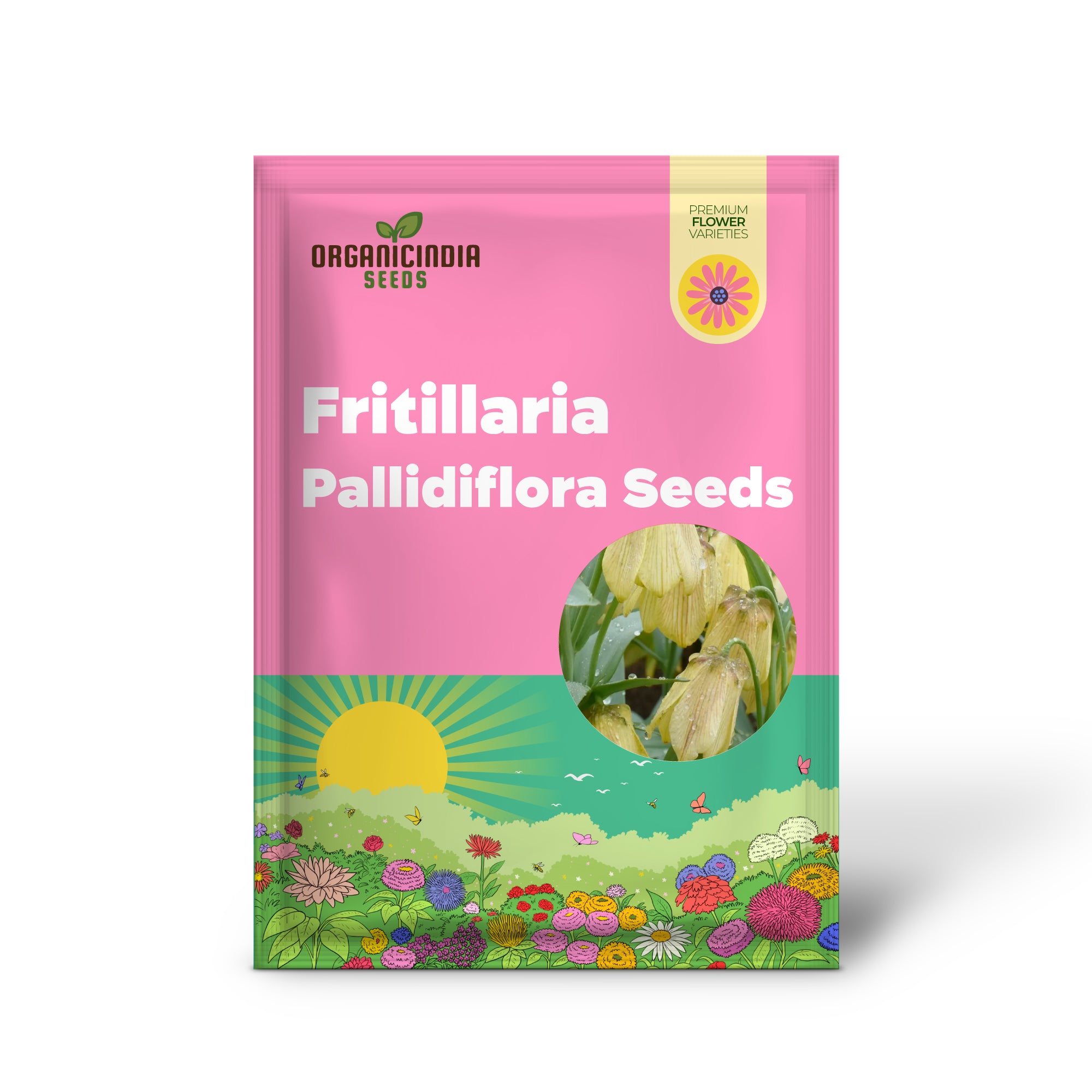 Achetez des graines de Fritillaria Pallidiflora pour votre jardin, la plantation est facile
