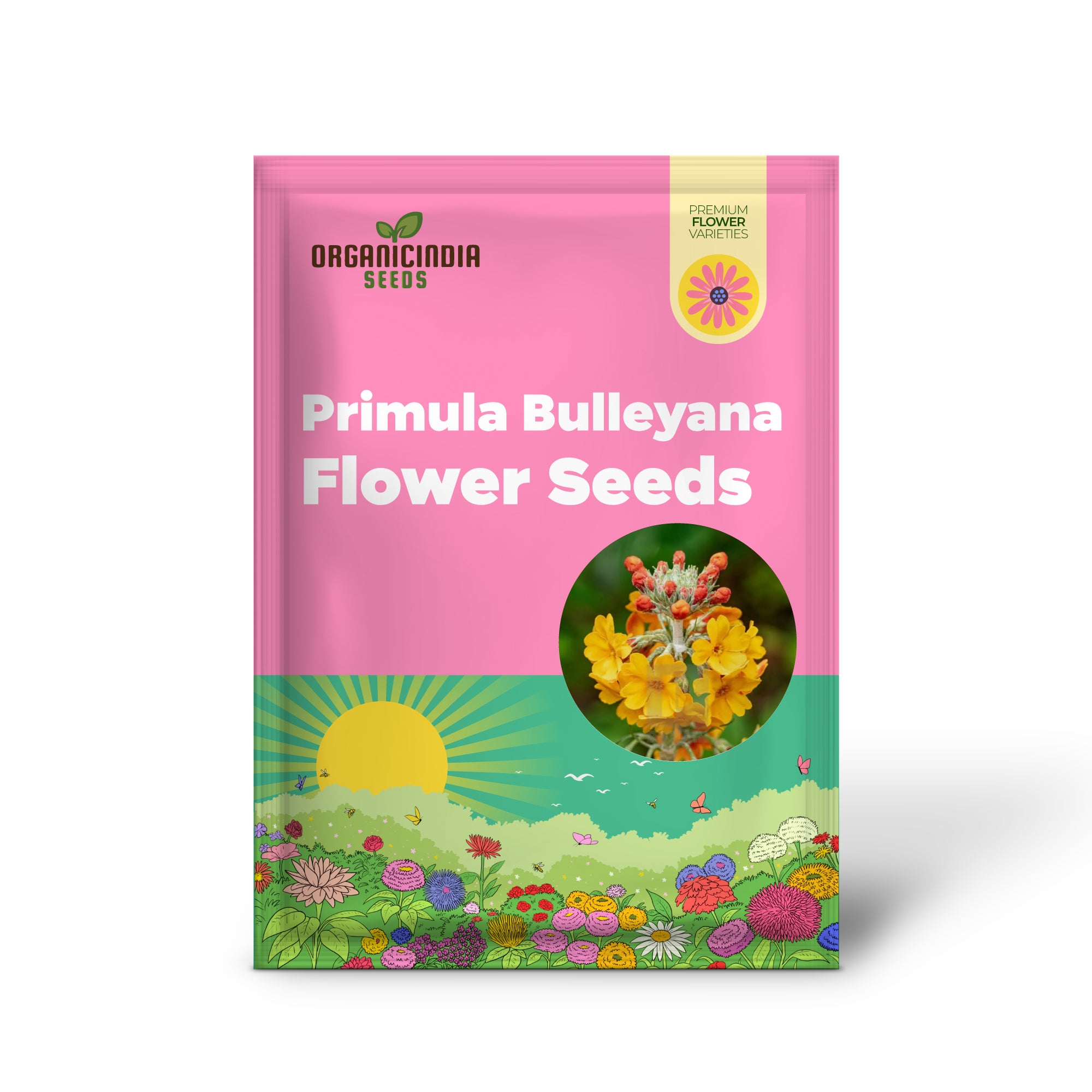 Semillas de Flor Primula Bulleyana para Plantar, Trayendo Resplandor Dorado a Tu Jardín