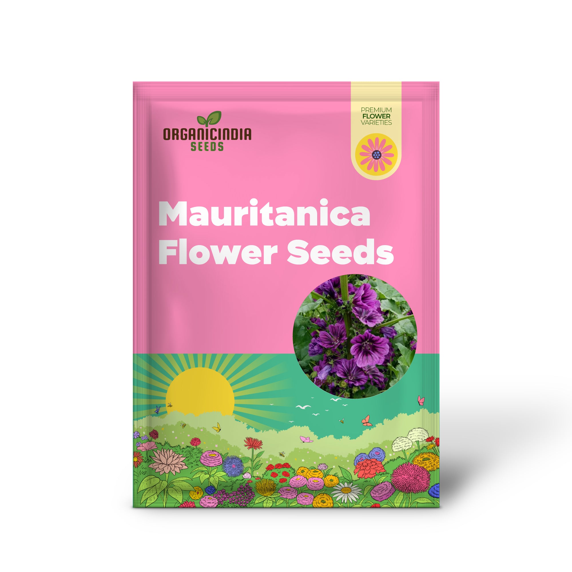 Graines de fleurs de Malva Sylvestris ssp. mauritanica, embellissez votre jardin avec des fleurs exquises, graines de qualité supérieure pour le jardinage