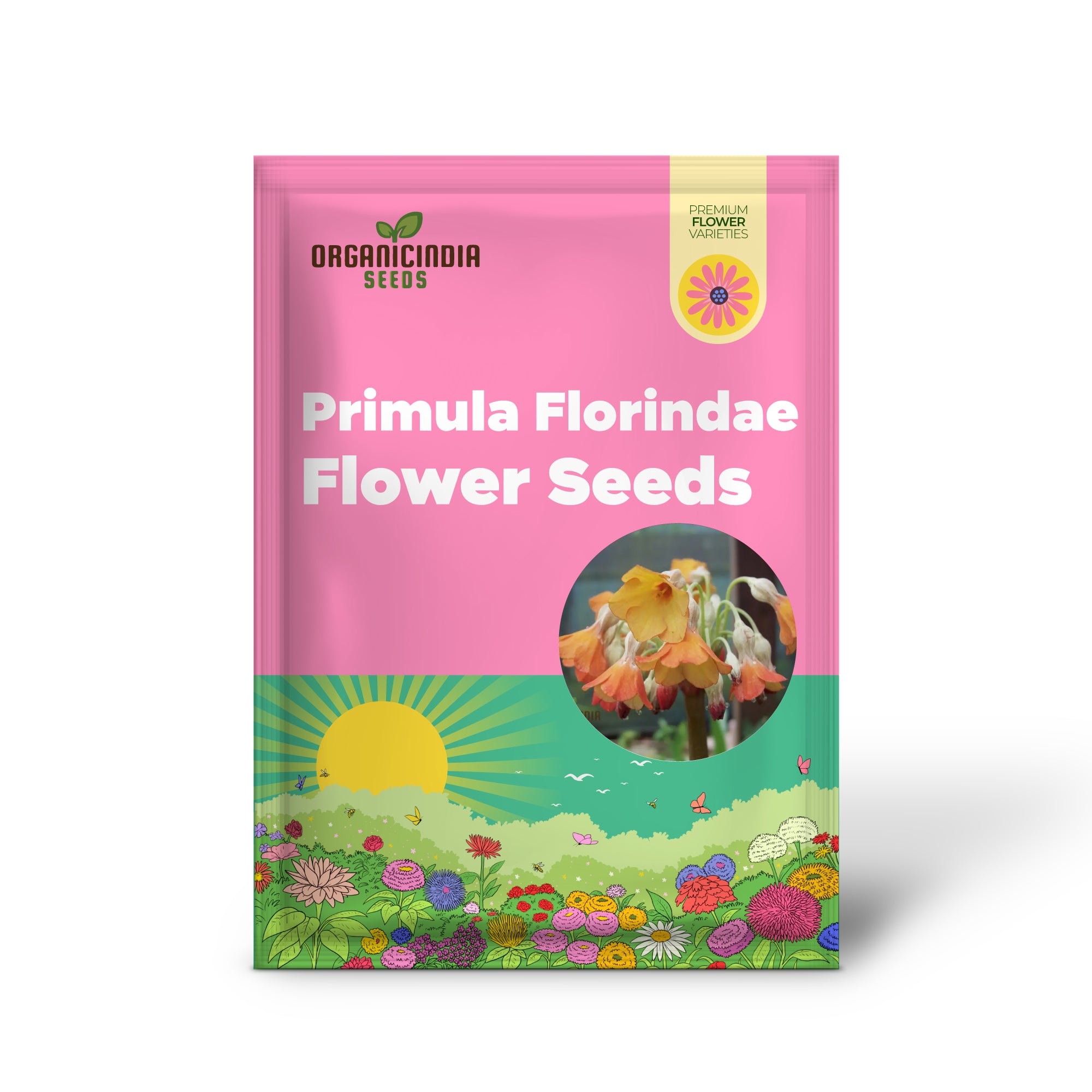 Primula Florindae Orange Flower Seeds For Planting, Adding Vibrant Color to Your Garden