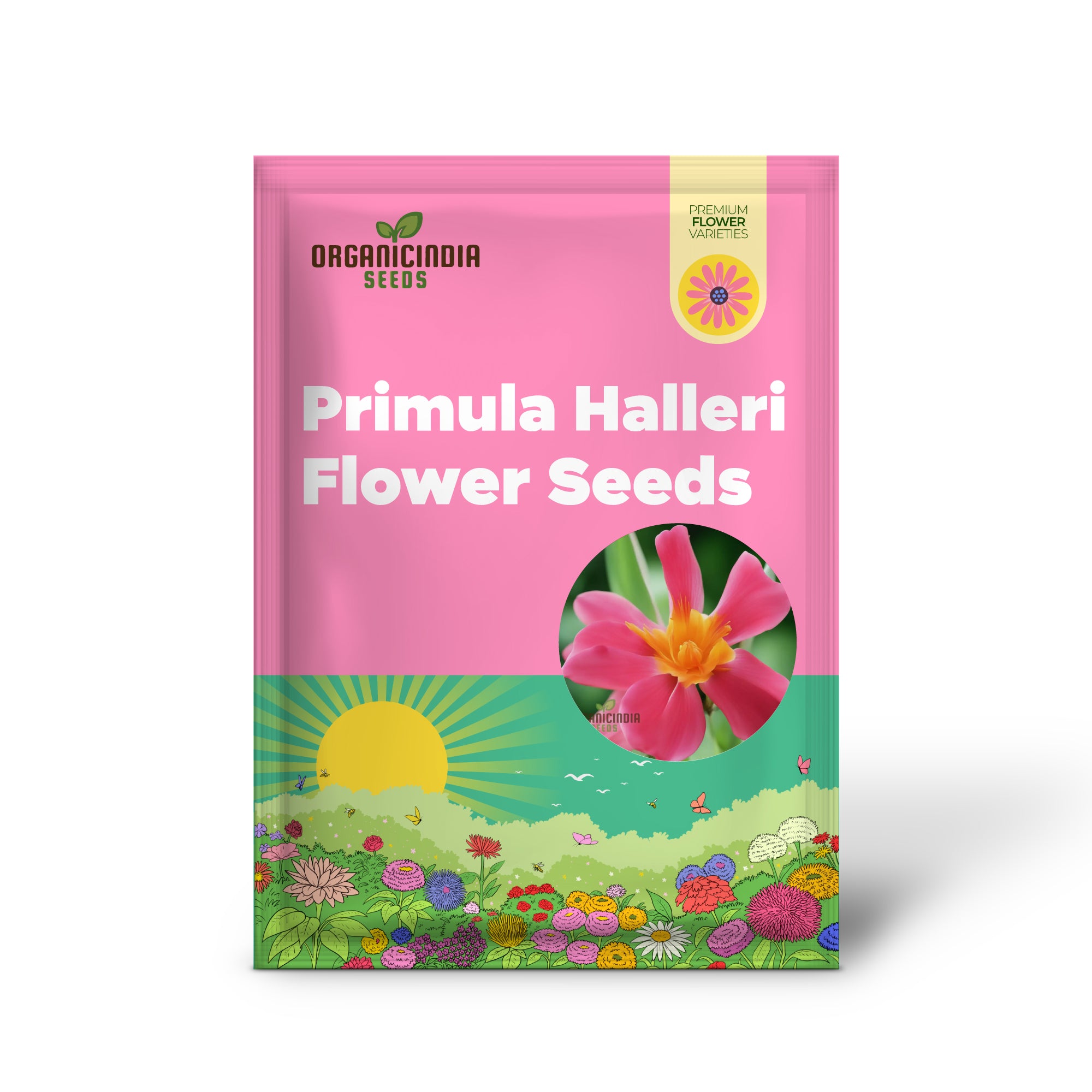 Primula Halleri Red Flower Seeds For Planting, Bold Red Blooms for Your Garden