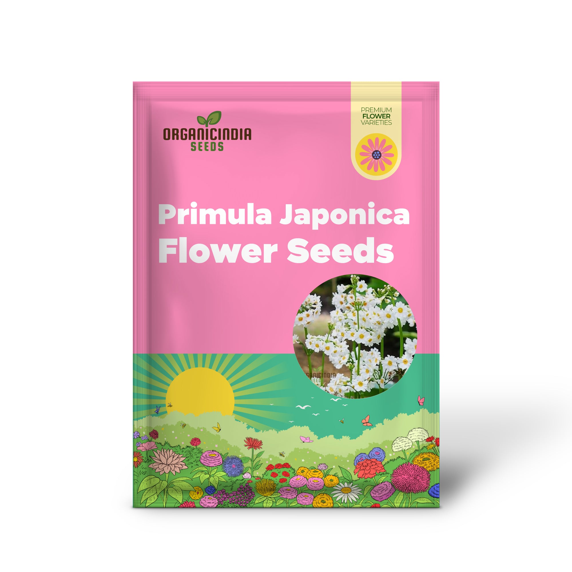 Semillas de flores Primula Japonica 'Postford White' para plantar, elegantes flores blancas para su jardín