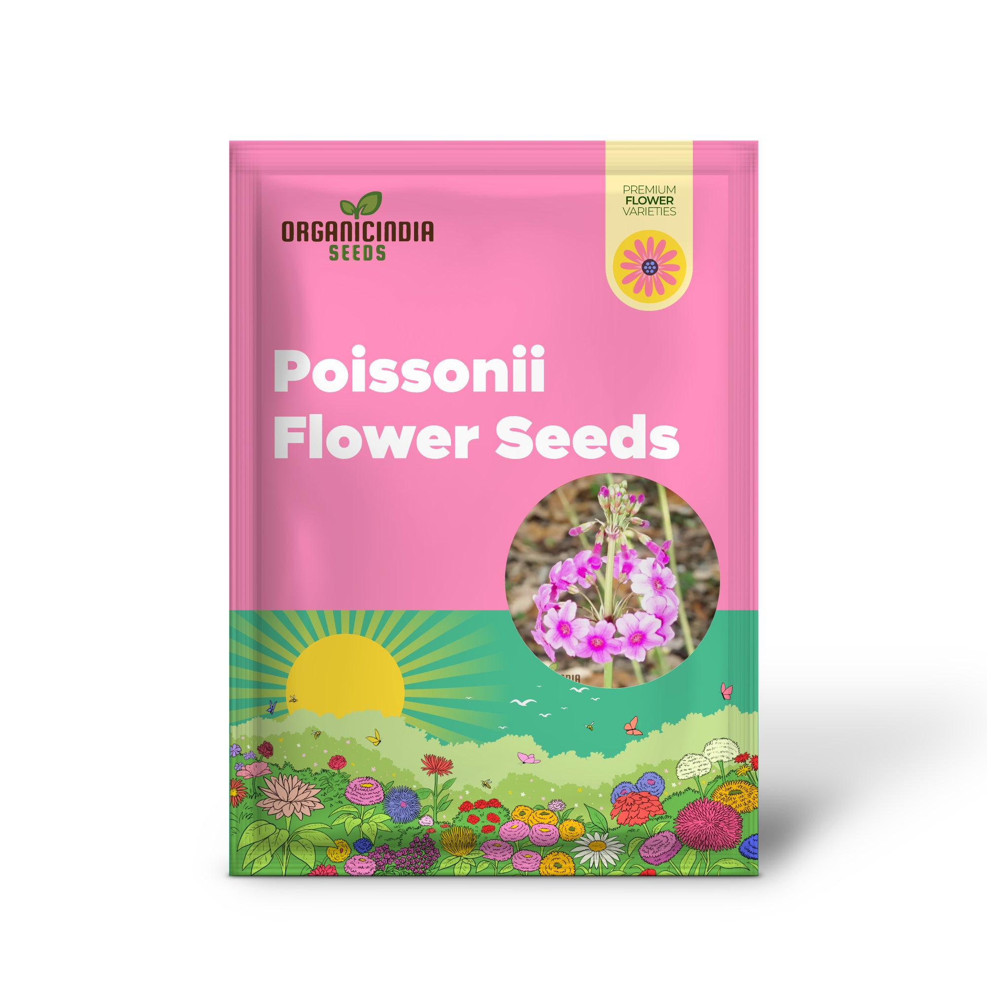 Primula Poissonii Flower Seeds For Planting, Adding Lush Purple Blooms to Your Garden