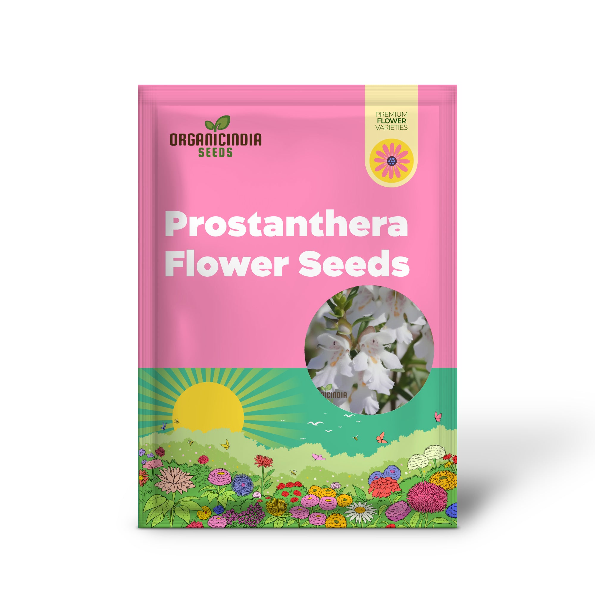 Semillas de flor de Prostanthera Lasianthos para plantar, cultivando flores bellamente fragantes para su jardín